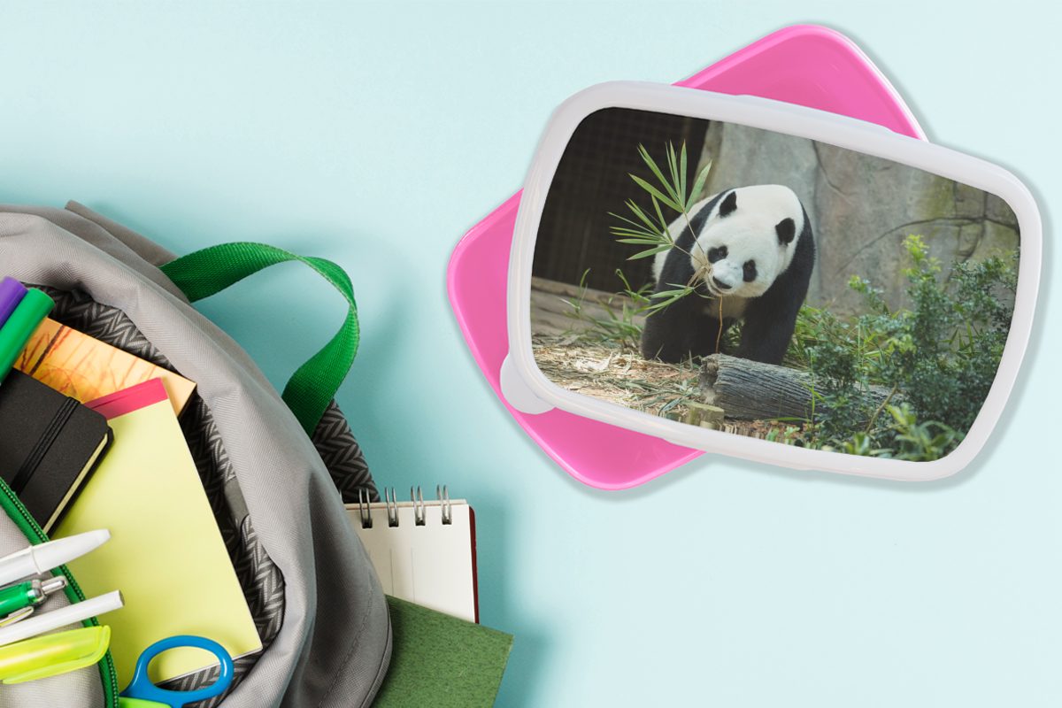Snackbox, Mädchen, Lunchbox Erwachsene, Brotdose Kinder, Kunststoff MuchoWow Brotbox (2-tlg), - für Kunststoff, rosa Baumstamm - Panda Höhle,
