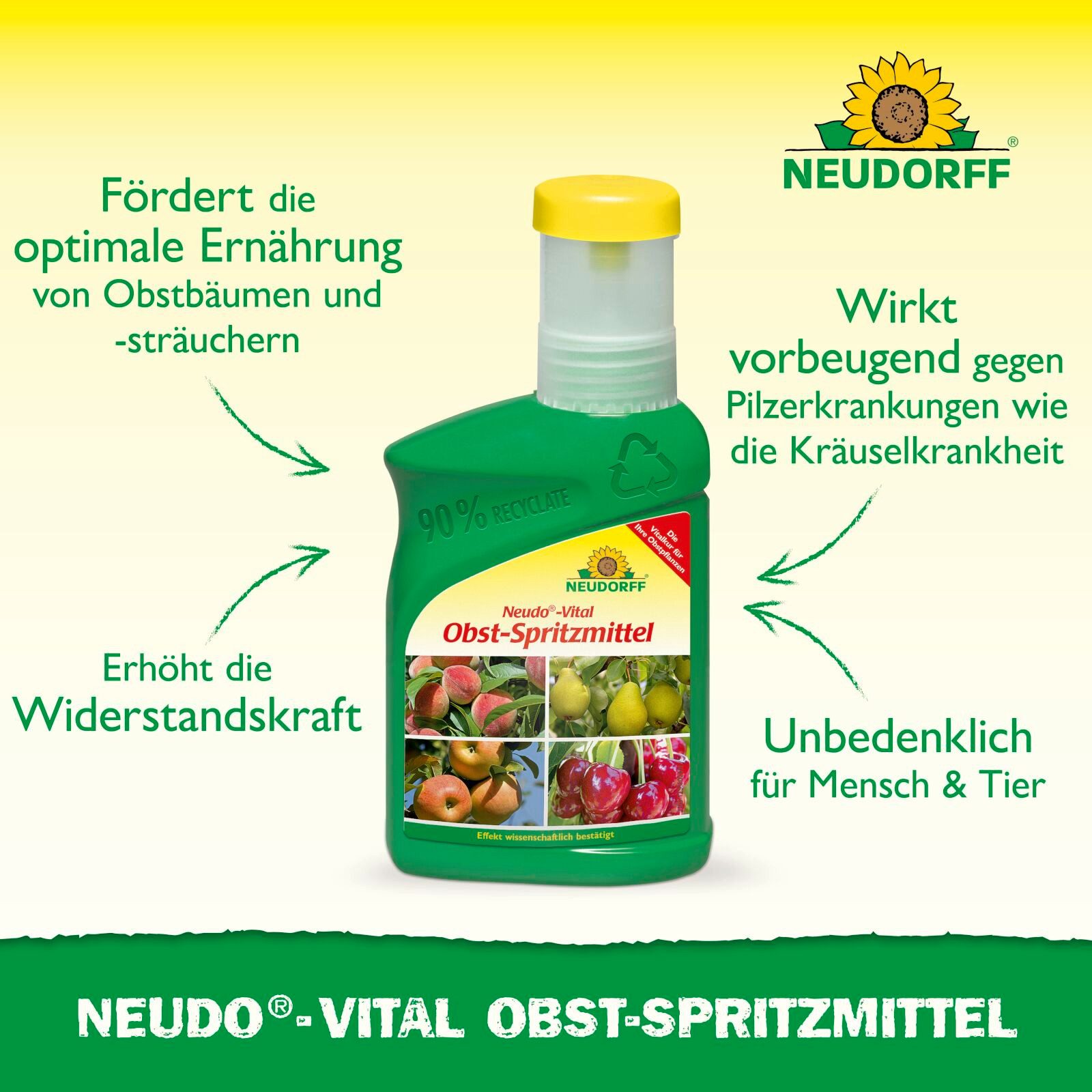 Neudorff Pflanzenstärkungsmittel Neudo-Vital Obst-Spritzmittel 250 ml, Obst-Spritzmittel zur Pflanzenstärkung, 10 ml Konzentrat pro Liter Wasser, Effekt wissens – Bild 3 von 5