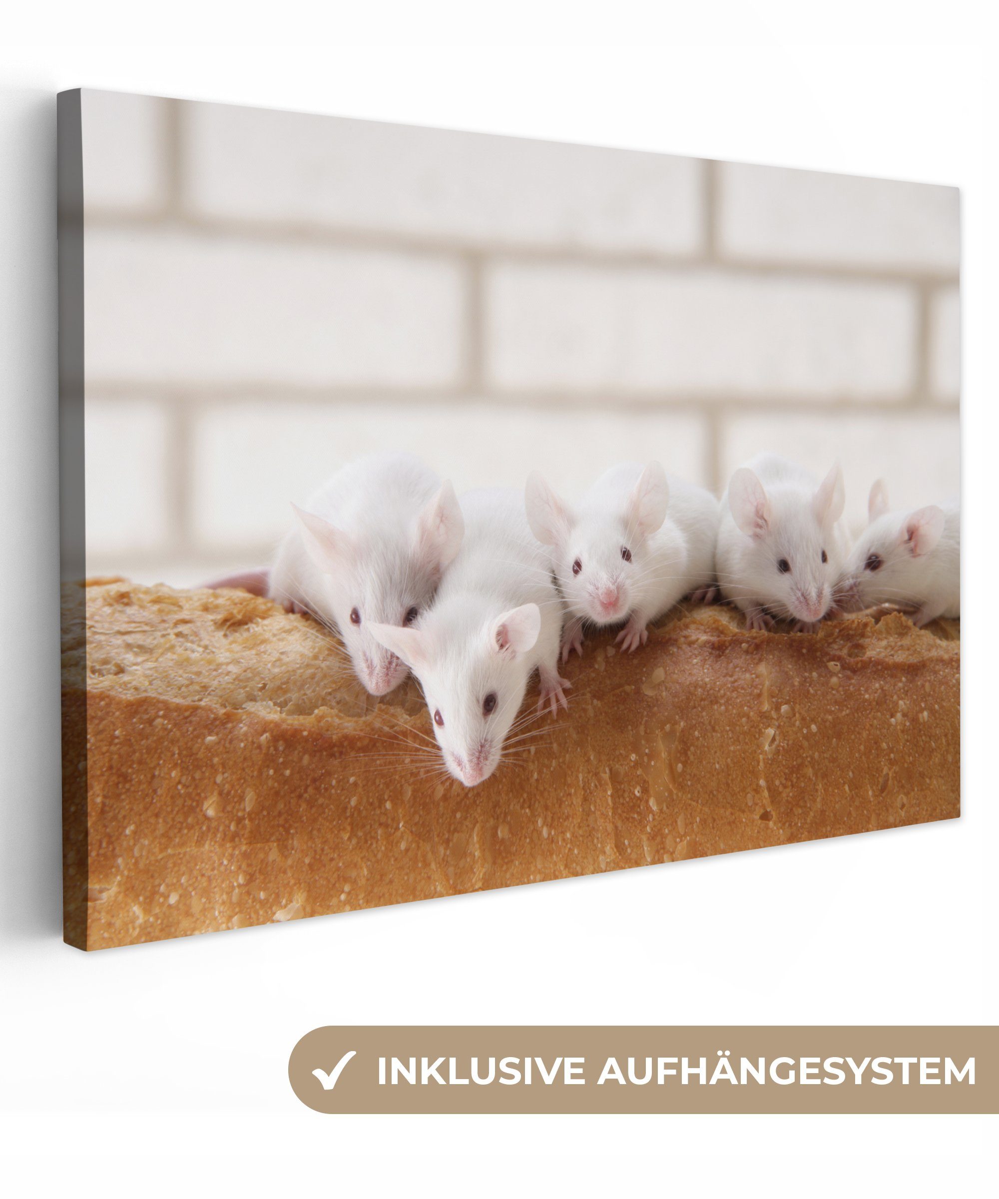 OneMillionCanvasses® Leinwandbild Mäuse auf einem Laib Brot, (1 St), Wandbild Leinwandbilder, Aufhängefertig, Wanddeko, 30x20 cm