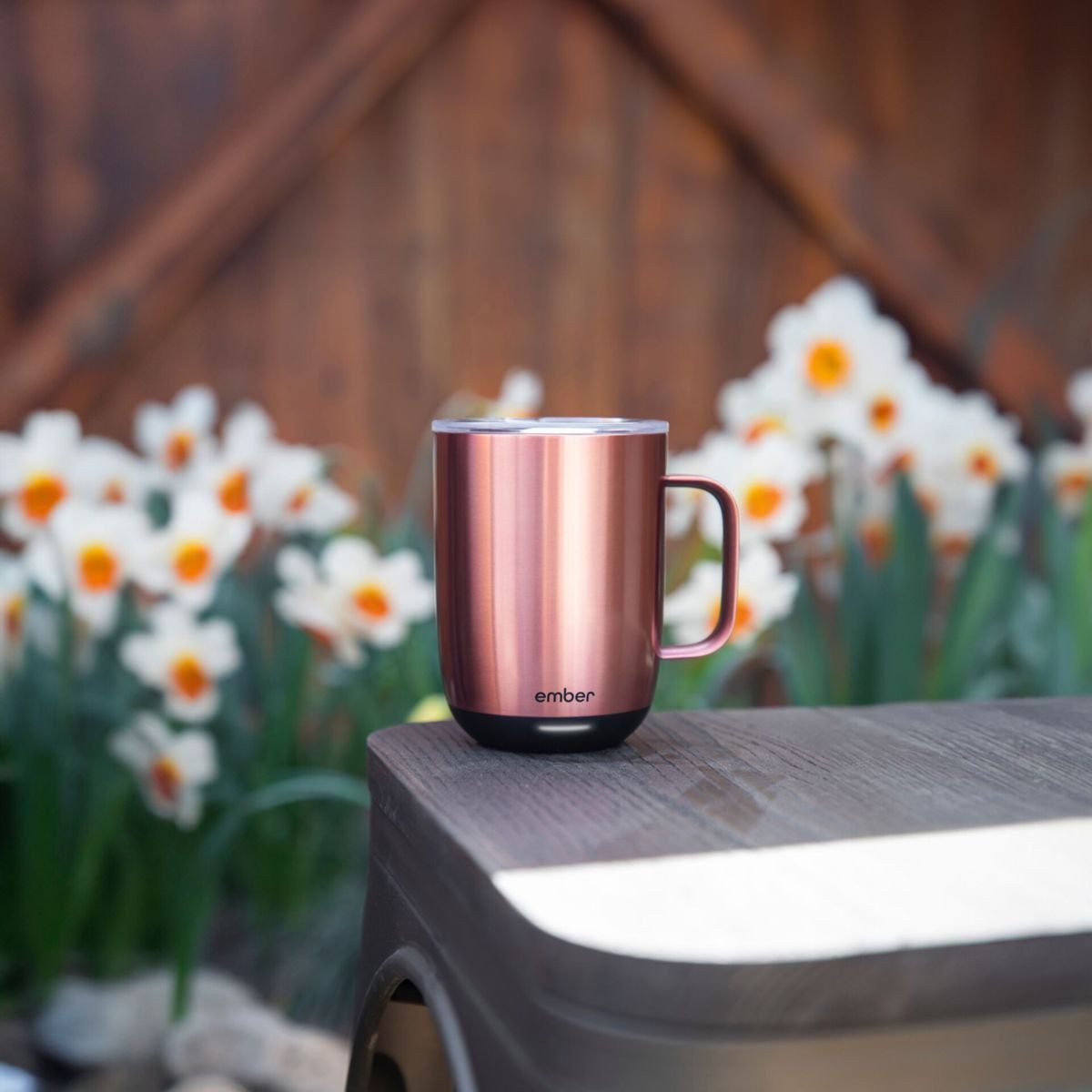 Ember Becher Sliding Lid 14oz
