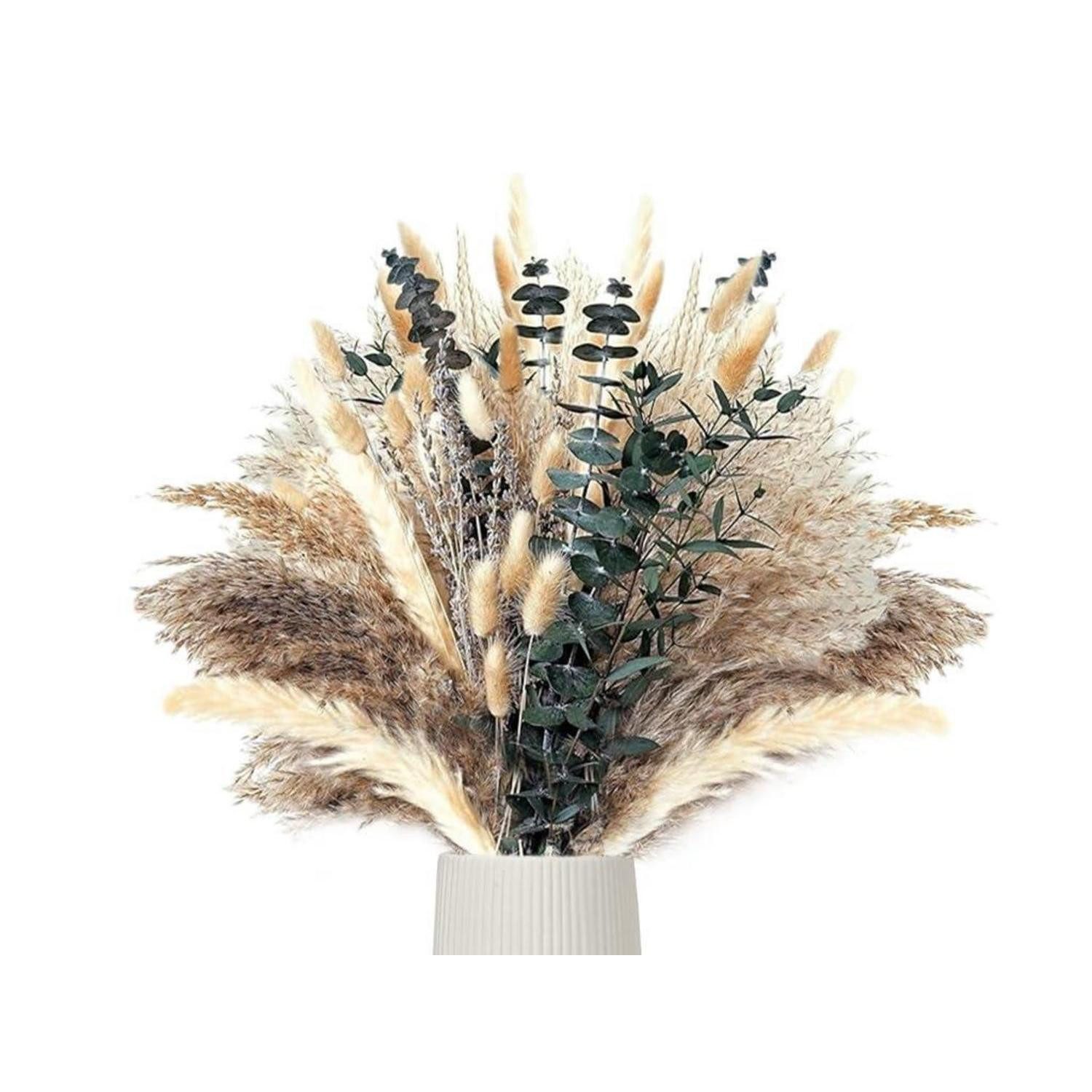 Trockenblume Pampasgras Deko Flauschig Boho, LuxusKollektion, Höhe 10 cm