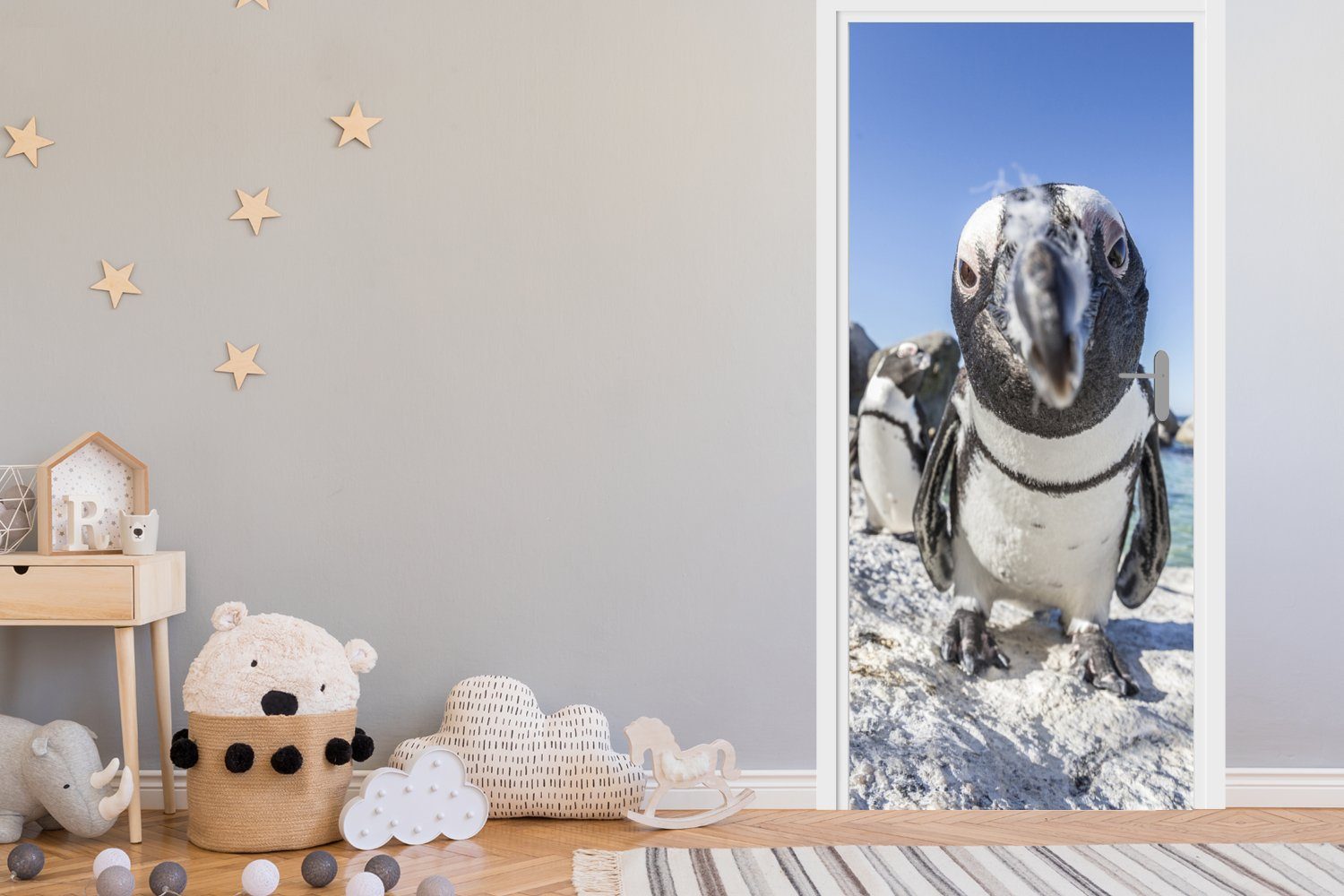 Türtapete 75x205 cm Pinguins Matt, eines Tür, Beach, Boulders afrikanischen Nahaufnahme (1 MuchoWow am bedruckt, für St), Fototapete Türaufkleber,