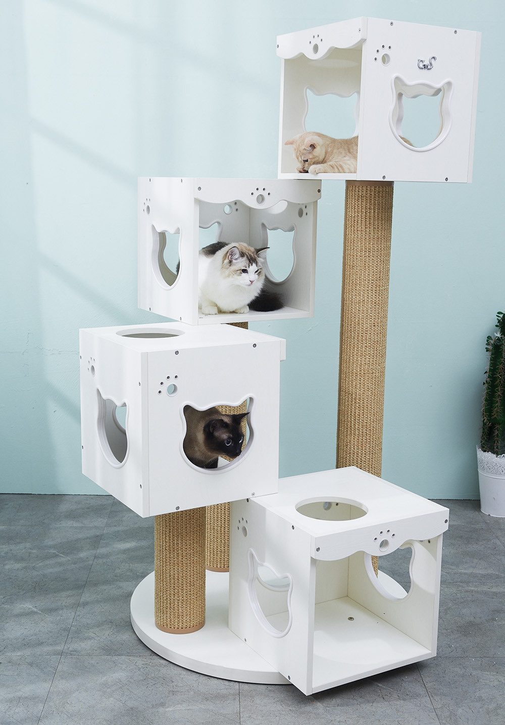 CatS Design Kratzbaum CatS Design Kratzbaum Katzenspielturm Altaica XZ, Hochwertig edel Design Kratzbaum solides Holz starke Konstruktion