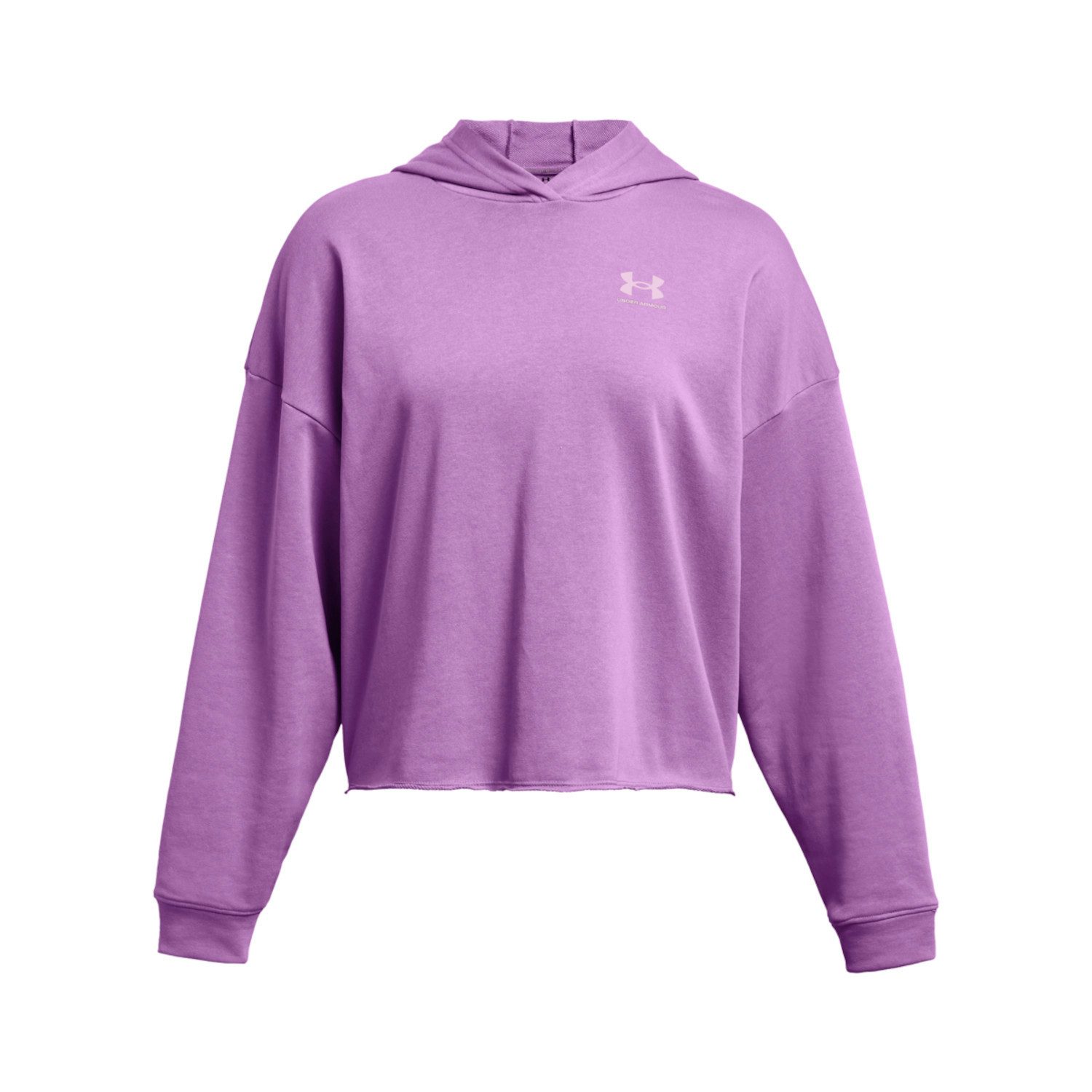 Under Armour® Kapuzenpullover Under Armour Damen günstig online kaufen