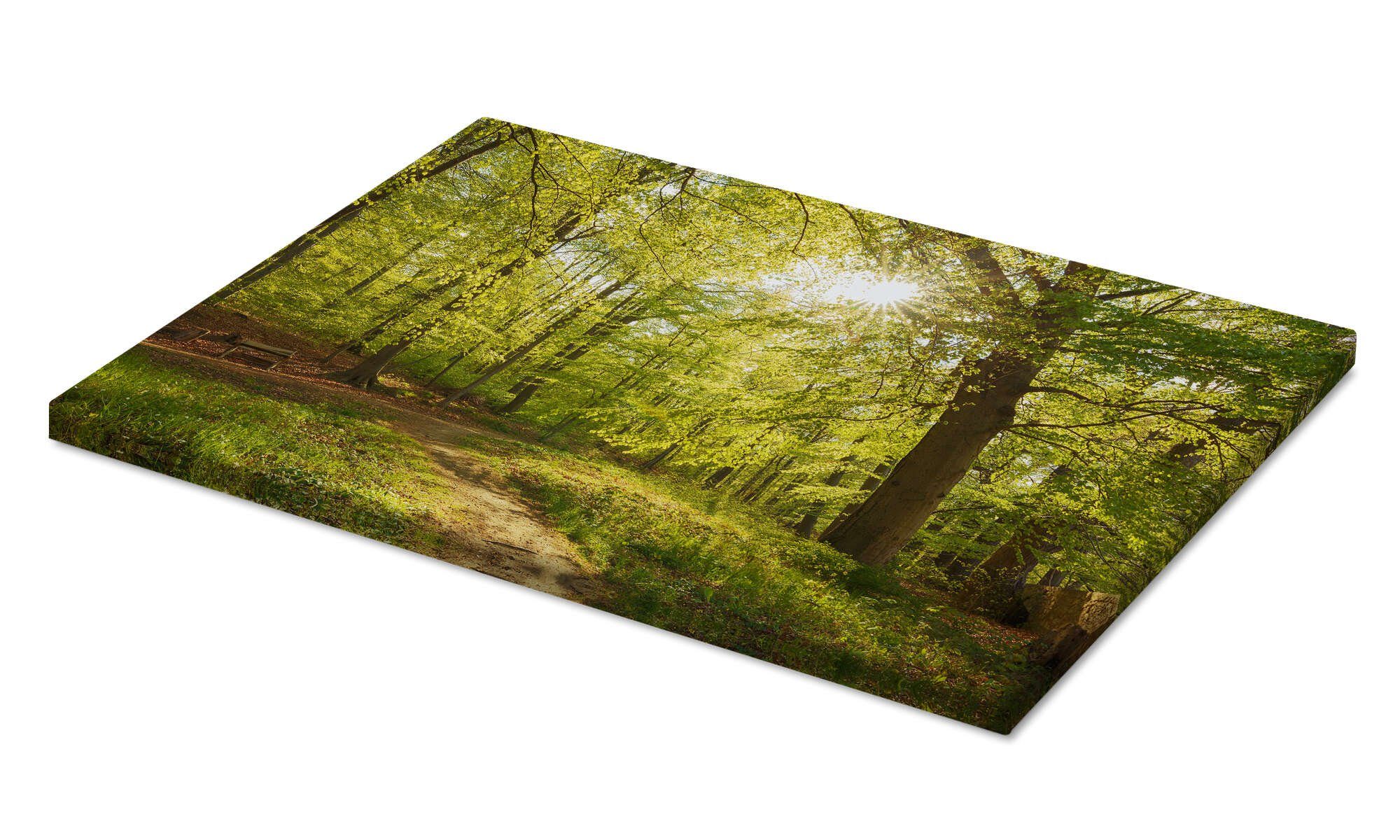 Posterlounge Wandbild Frühlingswälder mit Sonnenschein, Oliver Henze, erhältlich als Poster, Leinwandbild, Wandsticker oder Acrylglasbild