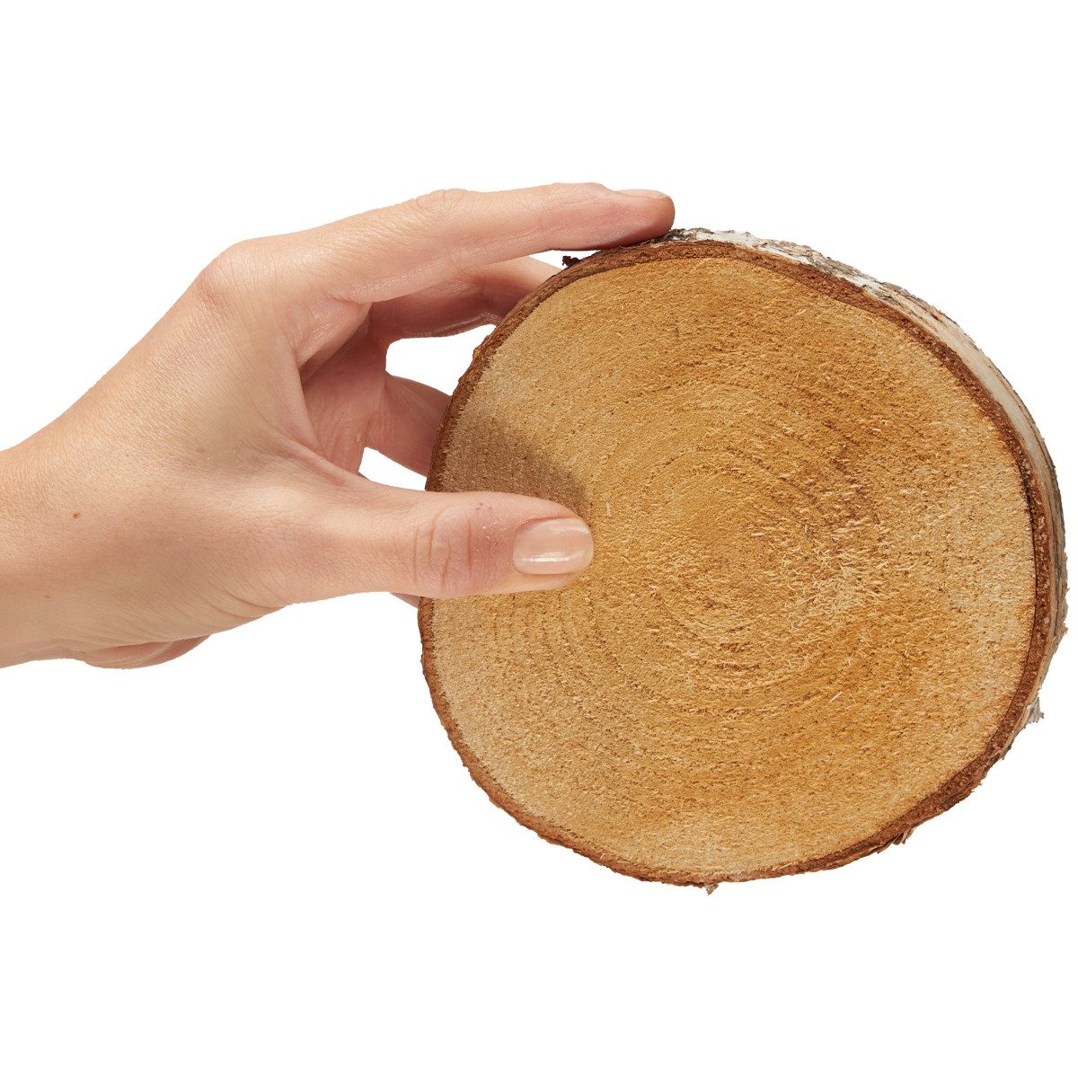 matches21 HOME & HOBBY Bastelnaturmaterial Baumscheiben 10 Stk. Dekoholz Holzscheiben Holzplatten 10 - 12 cm, (10-tlg), nachhaltige EU Birkenscheiben für Basteln Dekorieren Tischdeko