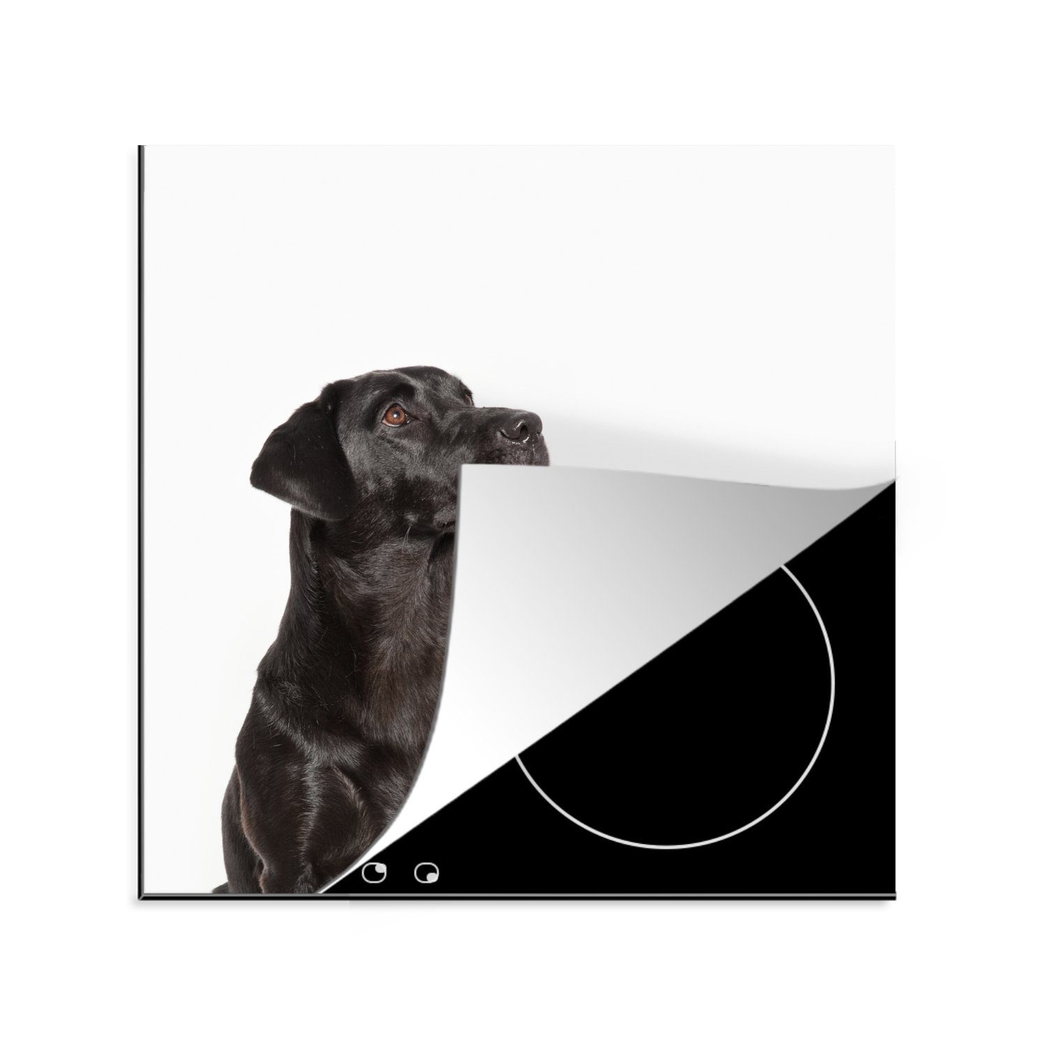 MuchoWow Herdblende-/Abdeckplatte Aufstrebende Hunde, Vinyl, (1 tlg), 78x78 cm, Ceranfeldabdeckung, Arbeitsplatte für küche