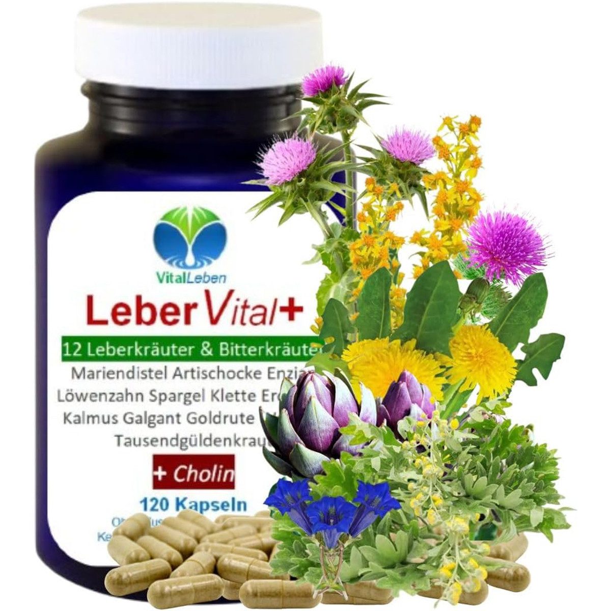 VitalLeben LeberVital Komplex 12 Kräuter & Bitterstoffe mit Cholin - Ohne Zusätze Kapseln, 1 er Dose à 120 St., 57,6 g, Art. 26454-120