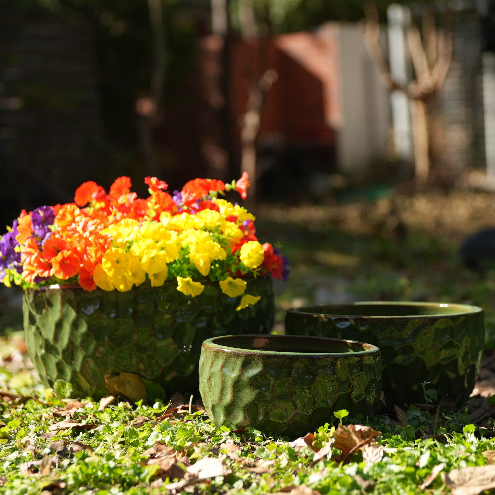 BlingBin Blumentopf 3-teiliges Keramikpflanztopf-Set, Pflanzkübel mit Geometrie-Mustern (3er Set, 3 St., Ø 38,1/30,5/25,4 cm, Ideal für Orchideen, Grün), Für Innen/Außen, Fensterbänke/Bücherregale, Aus Atmungsaktiver Tonware