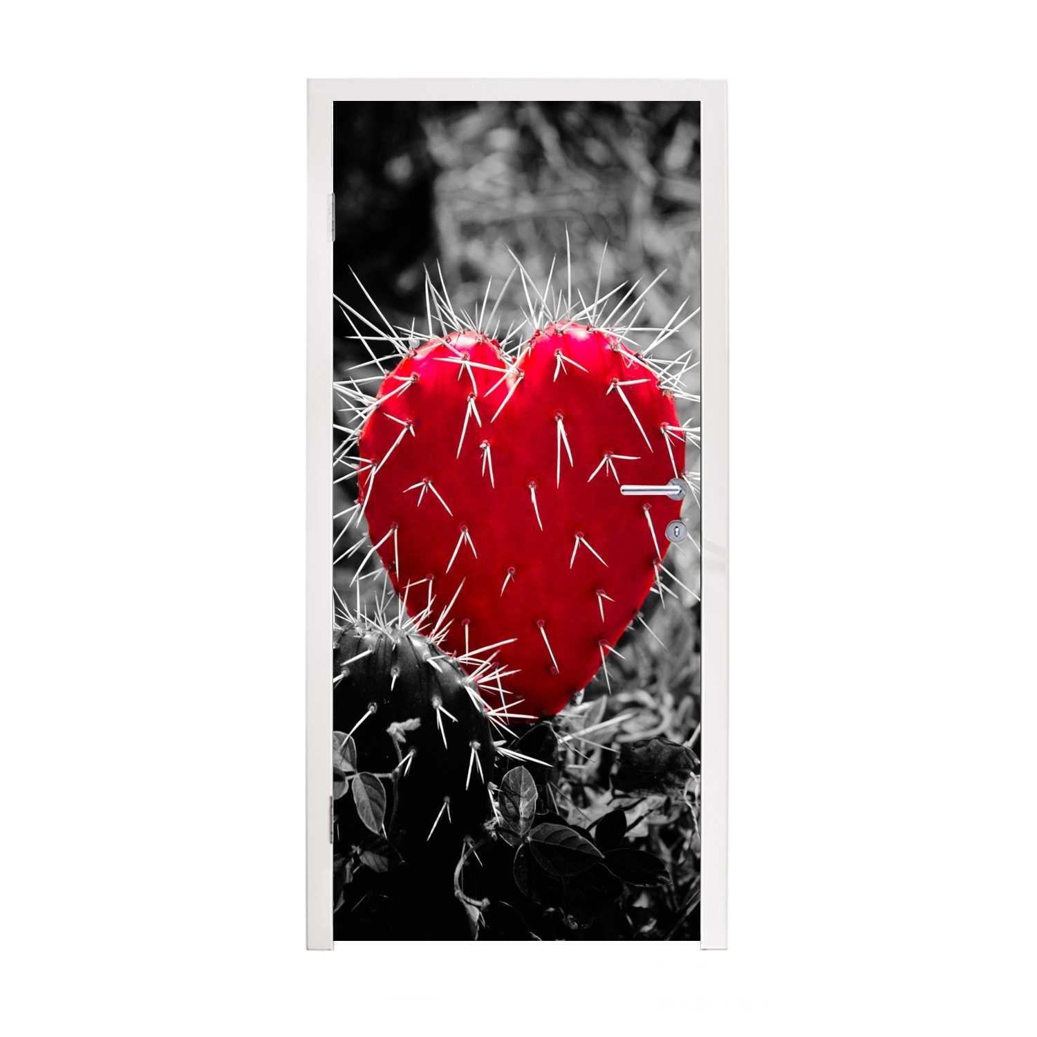 MuchoWow Türtapete Schwarz-Weiß-Foto mit einem roten herzförmigen Kaktus, Matt, bedruckt, (1 St), Fototapete für Tür, Türaufkleber, 75x205 cm