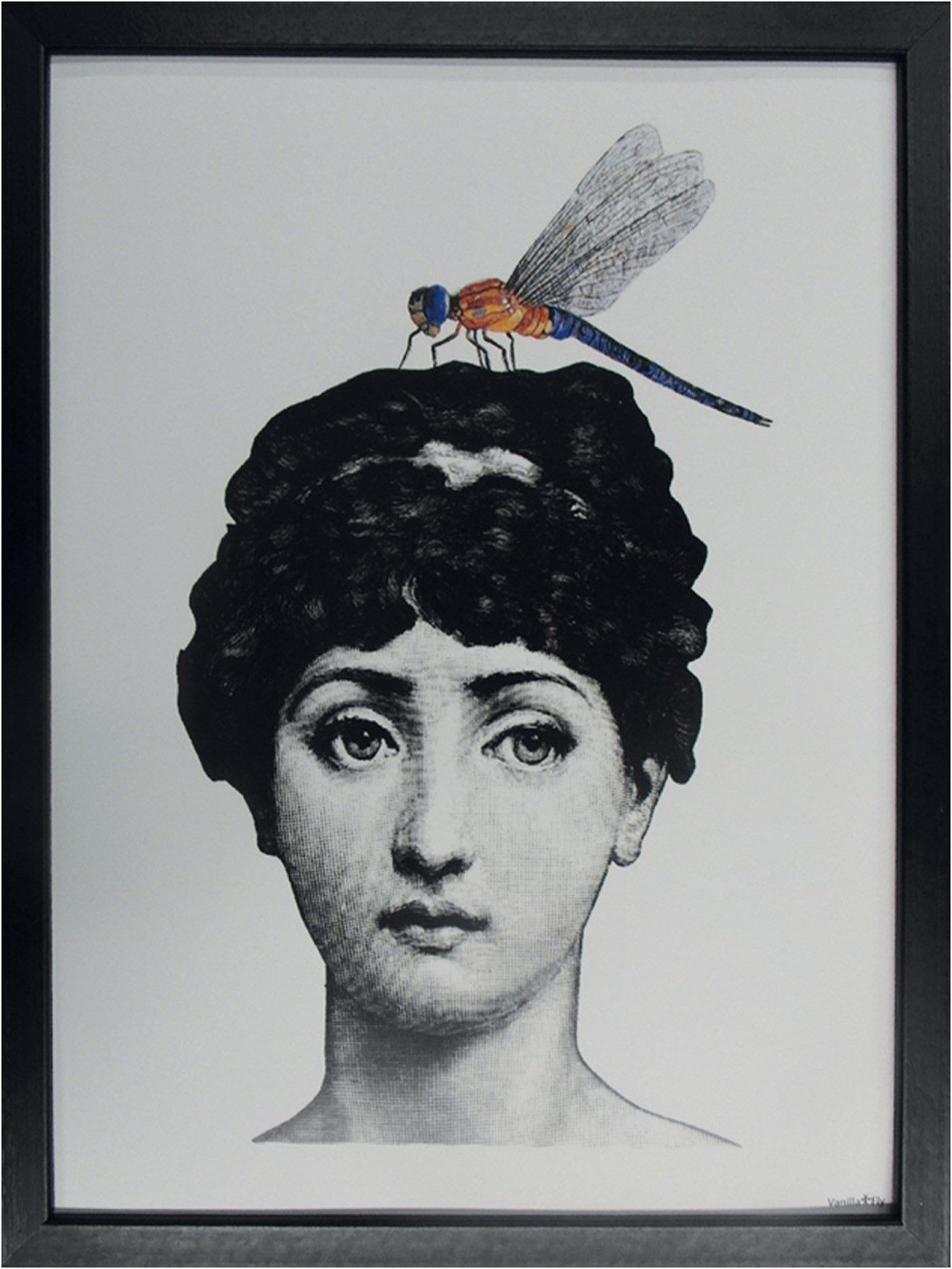 More2Home Wandbild MondiArt, WOMAN AND DRAGONFLY, Rahmen schwarz, 30 x 40 cm