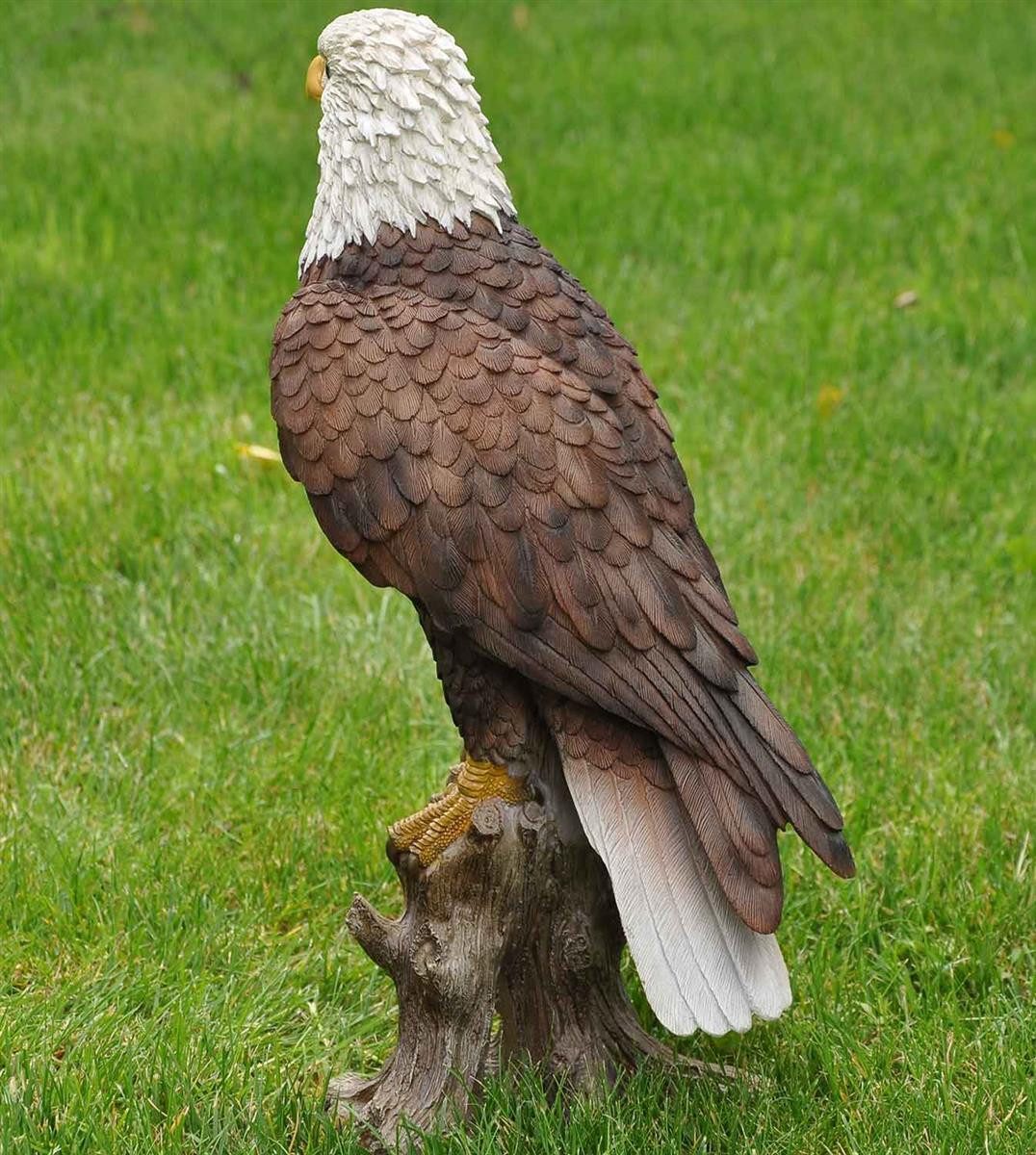 dazikemo Gartenfigur Dekofigur Gartenfigur Weißkopfseeadler – Bild 5 von 5