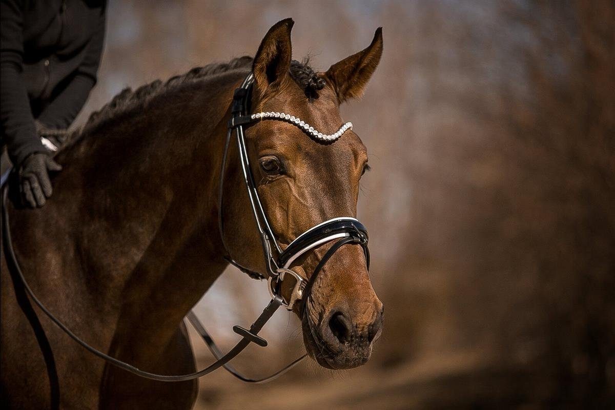Horsecode Trensenzaum Horsecode Trense Moonlight diamond W Pony, Leder, rungenäht weiß unterlegt, lack Nasenriemen mit Lederzügeln