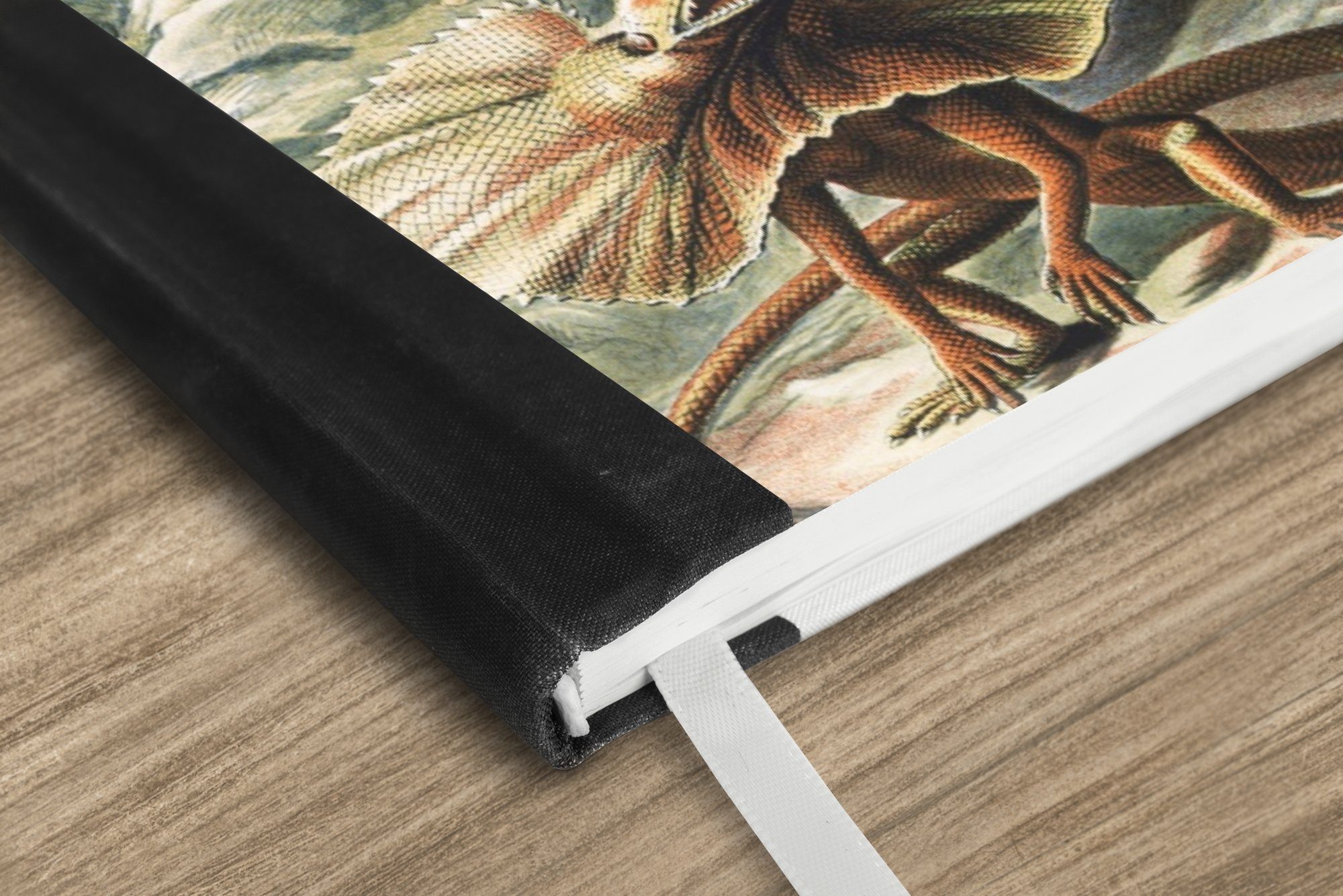 Thumbnail - MuchoWow Notizbuch Jahrgang - Kunst - Ernst Haeckel - Salamander - Tiere, Notebook, Notizblock a5, Tagebuch, Journal Lin...