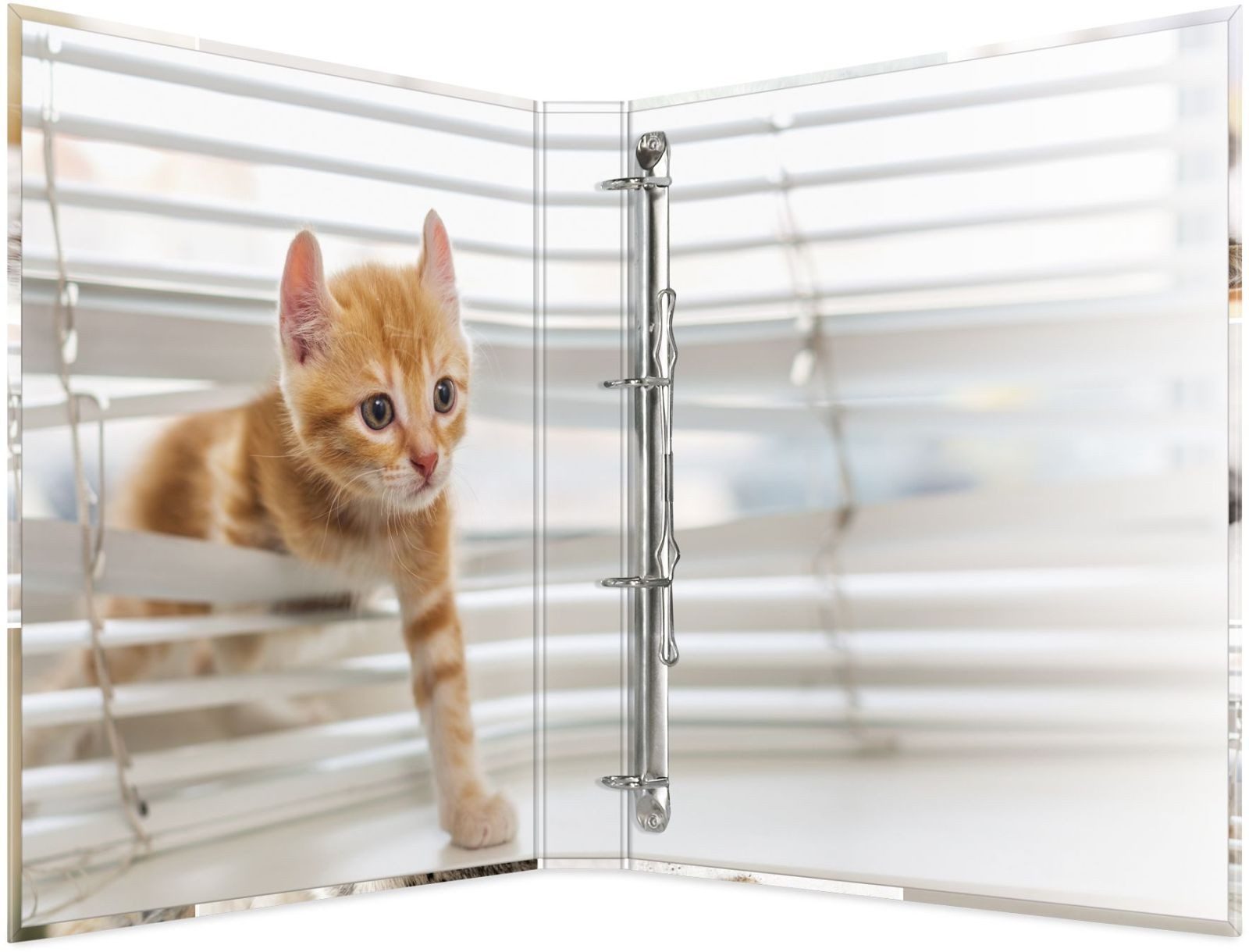 HERMA Präsentationsordner Ringbuch A4 Karton 4 Ringe Katzen