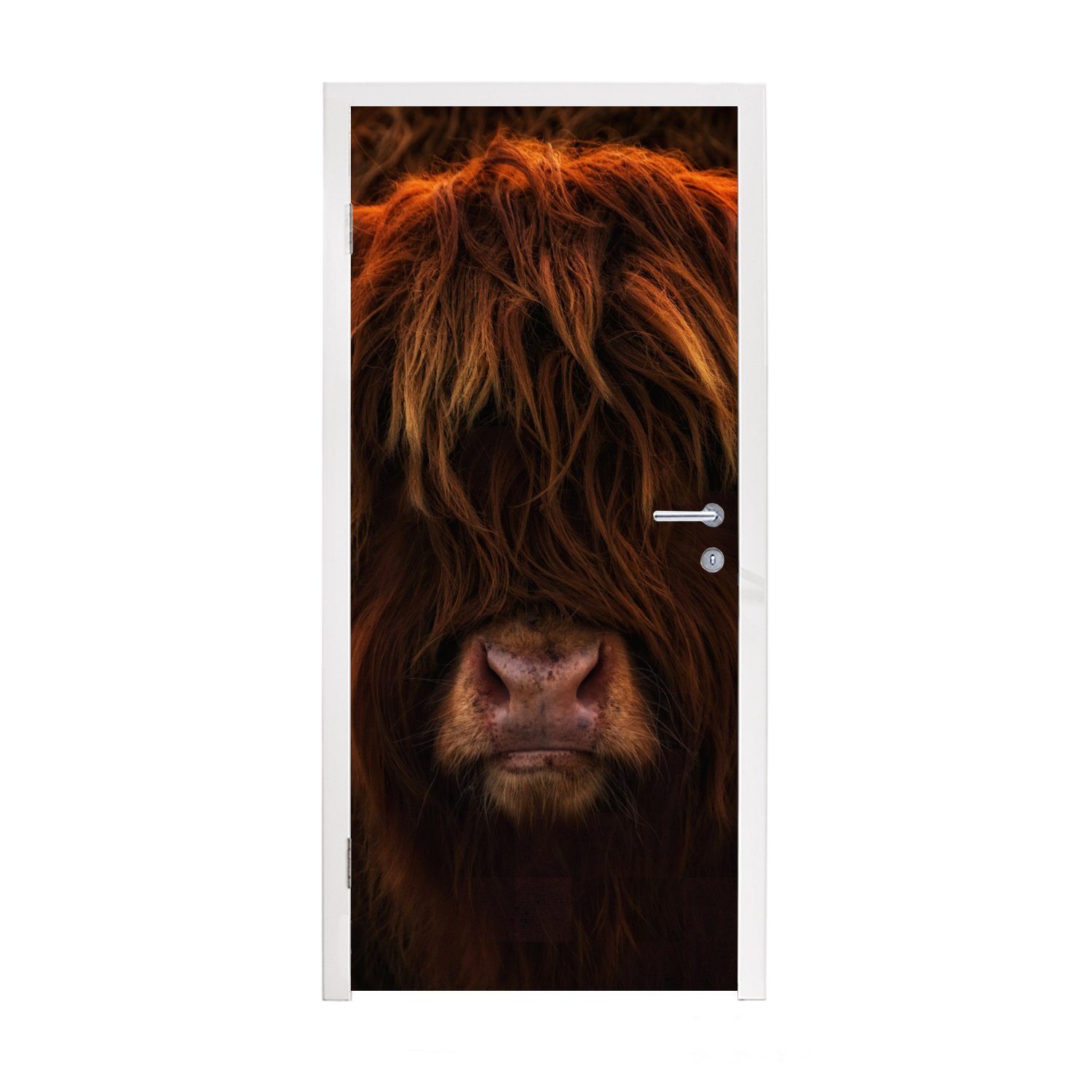 MuchoWow Türtapete Schottischer Highlander - Kuh - Schwarz - Porträt, Matt, bedruckt, (1 St), Fototapete für Tür, Türaufkleber, 75x205 cm