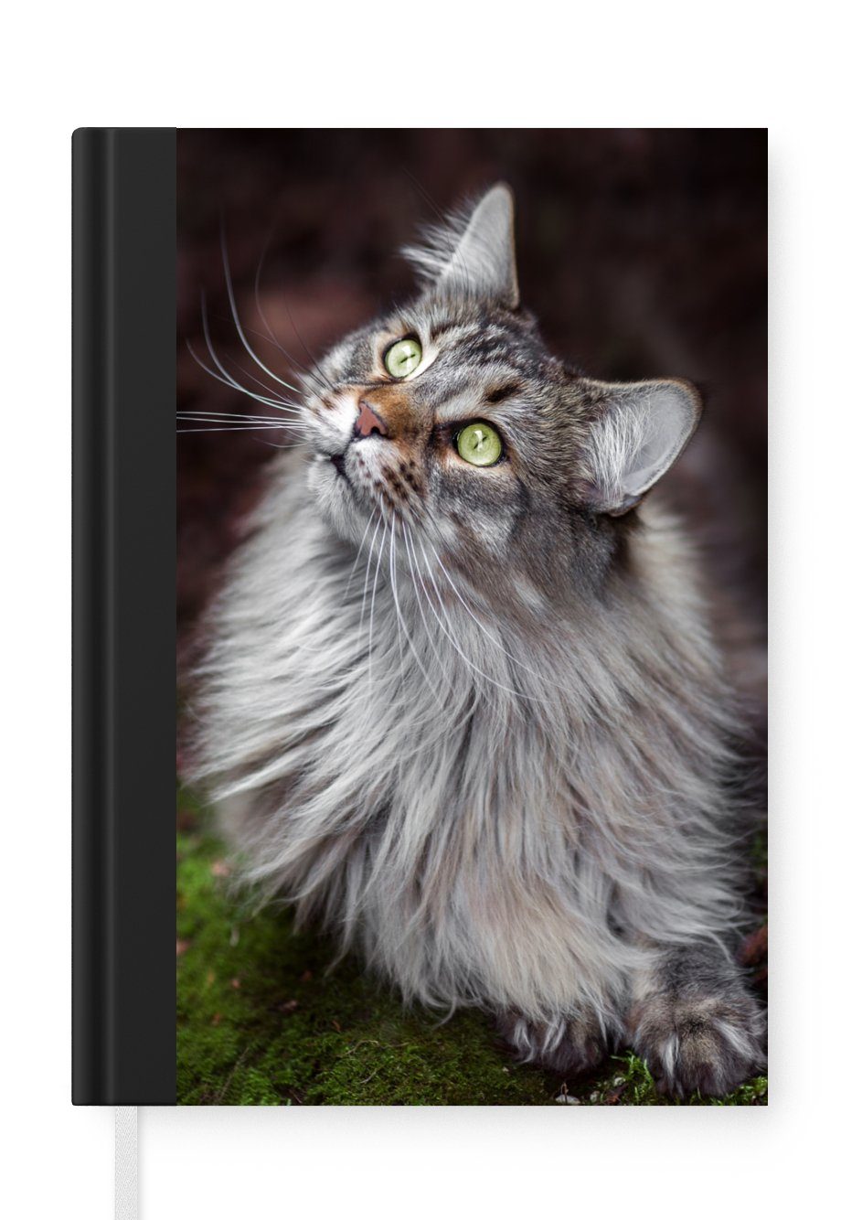 MuchoWow Notizbuch Eine graue Maine Coon Katze, Journal, Merkzettel, Tagebuch, Notizheft, A5, 98 Seiten, Haushaltsbuch