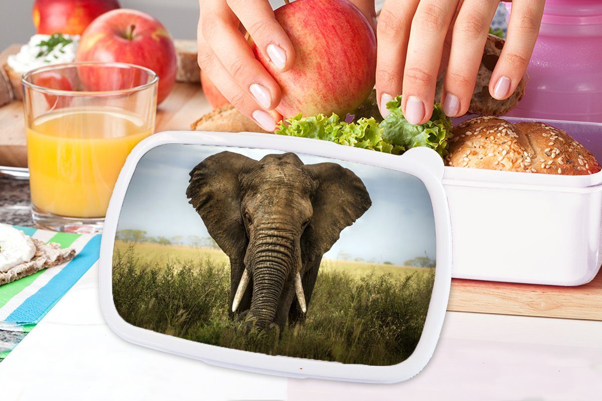 Kunststoff, Gras Brotbox (2-tlg), Landschaft, Natur Tiere für Lunchbox Brotdose, - Erwachsene, Jungs und Elefant - Kinder für - - Mädchen MuchoWow und weiß
