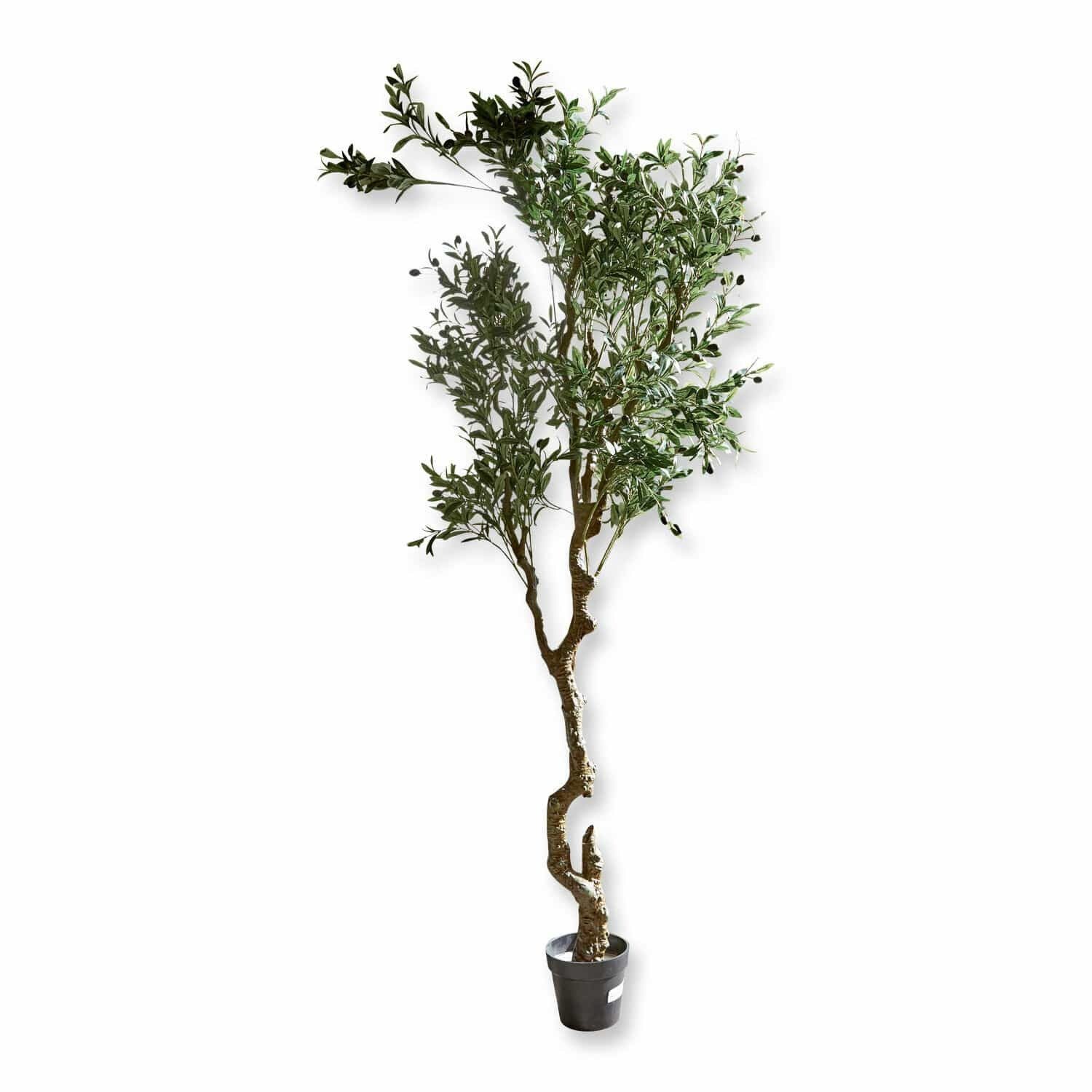 Kunstblume Deko-Topfpflanze Dambly grün, Mirabeau, Höhe günstig online kaufen