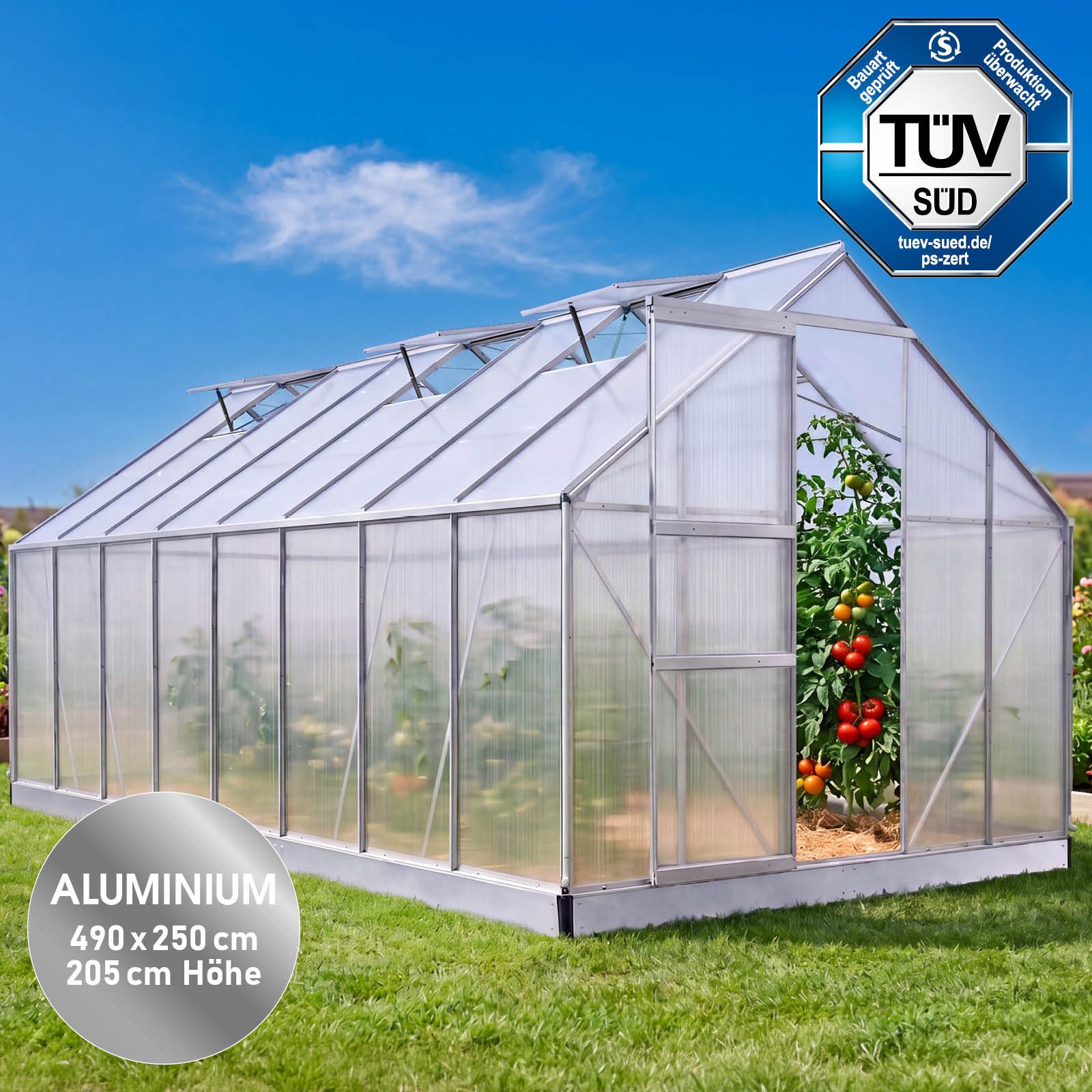 BRAST Gewächshaus ALU mit Fundament rostfrei 490x250x205cm TÜV geprüft, BxTxH: 250 x 490 x 205 cm, wetterfestes hochwertiges Aluminium, Temperaturbeständig, Wär – Bild 2 von 5