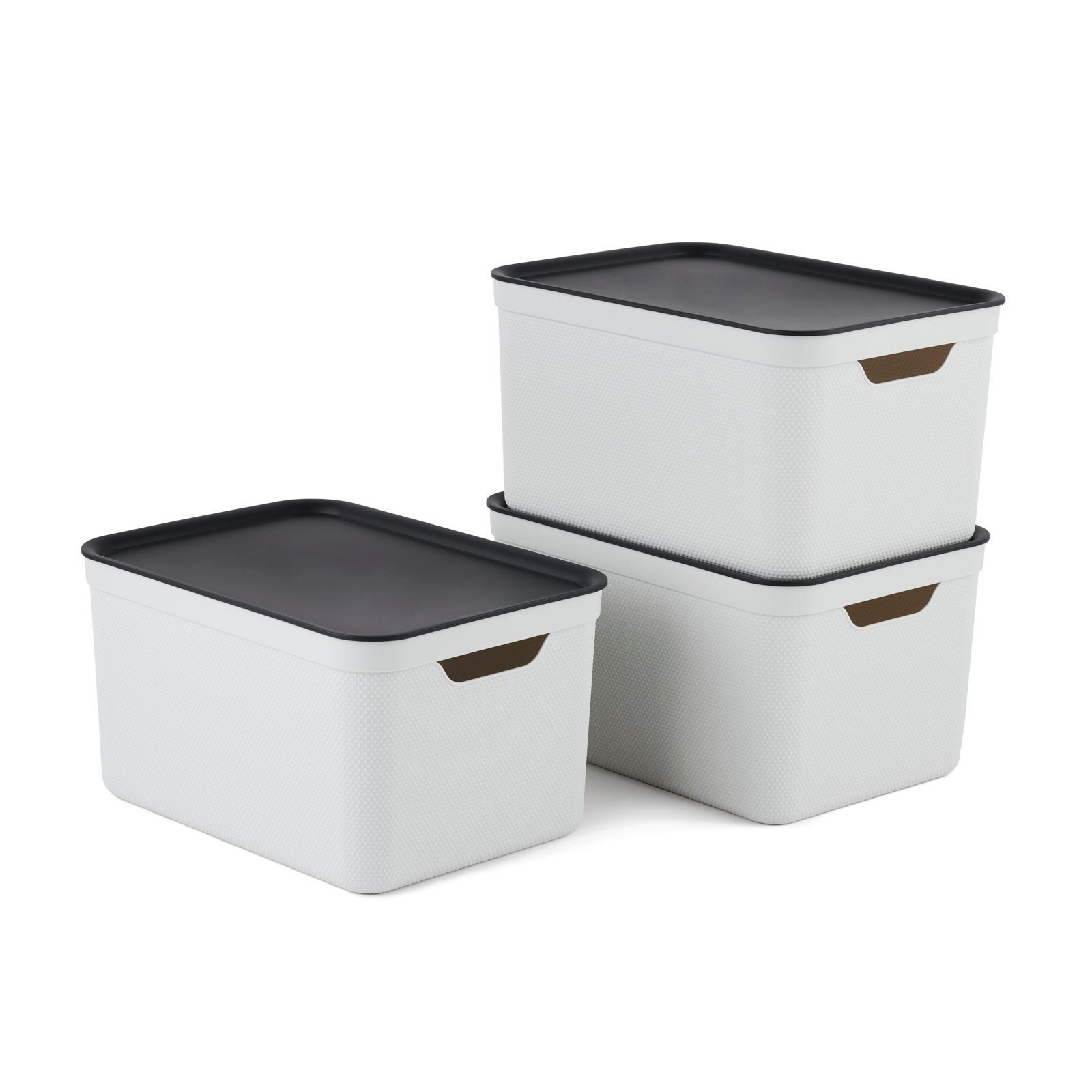 ROTHO Aufbewahrungsbox Jive Dekobox 3er- Set Aufbewahrungskorb 16l mit Deckel (Aufbewahrungsboxen, 3er-Set) Mistletoe white