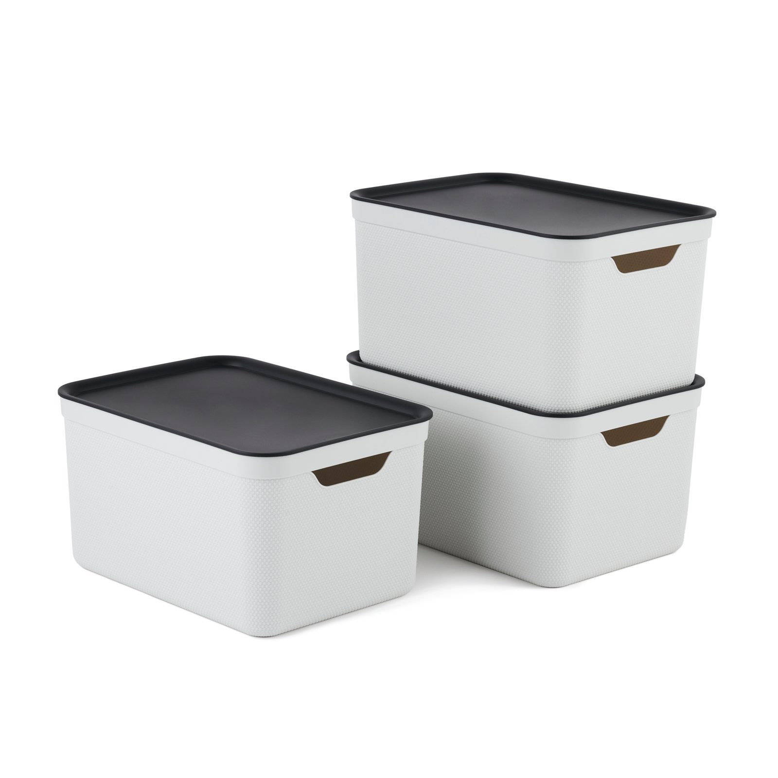 ROTHO Aufbewahrungsbox 3er- Set Aufbewahrungskorb 16l günstig online kaufen