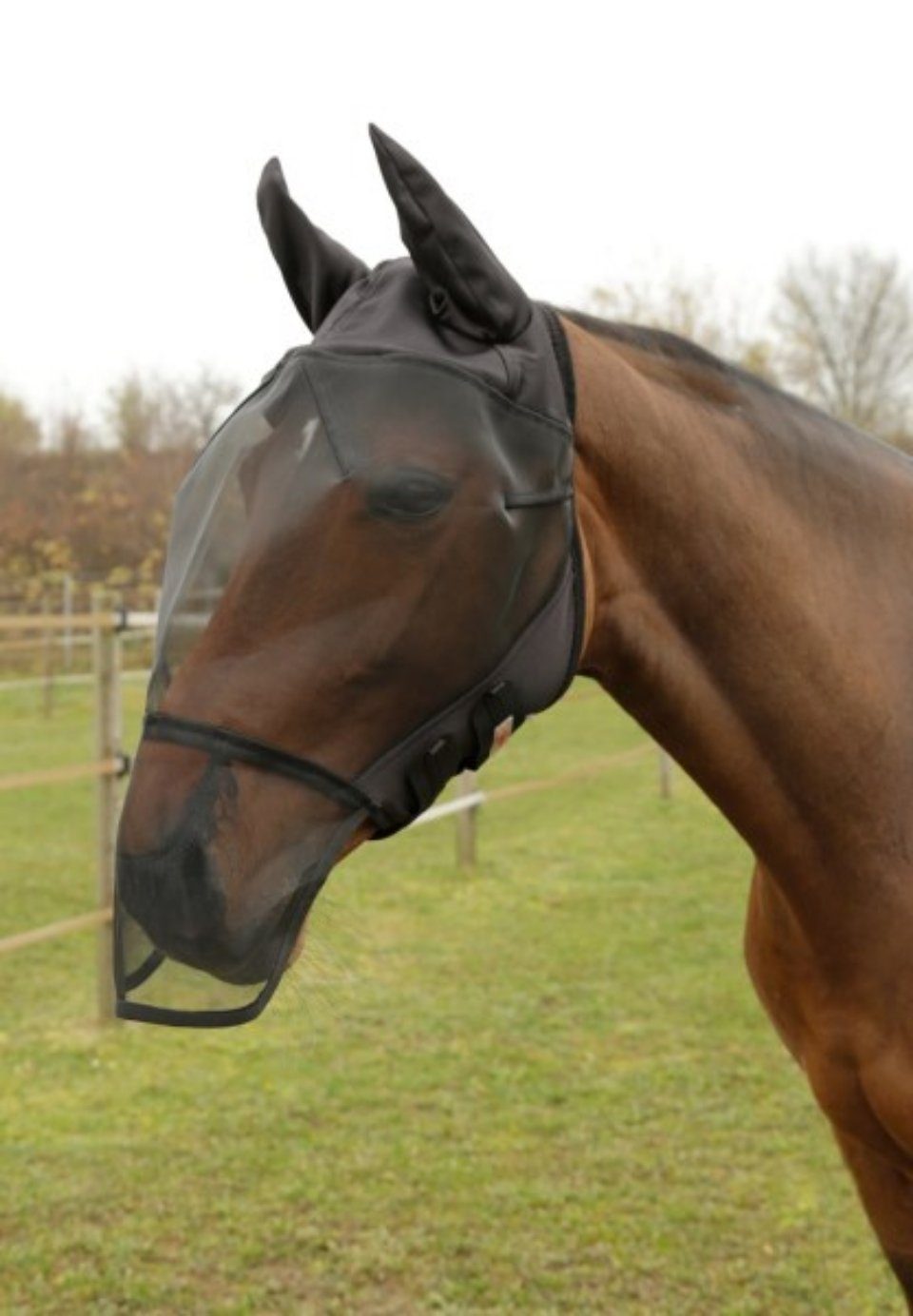Fliegenmasken Fliegenmaske mit Ohren- und Nüsternschutz Größe Pony 321273