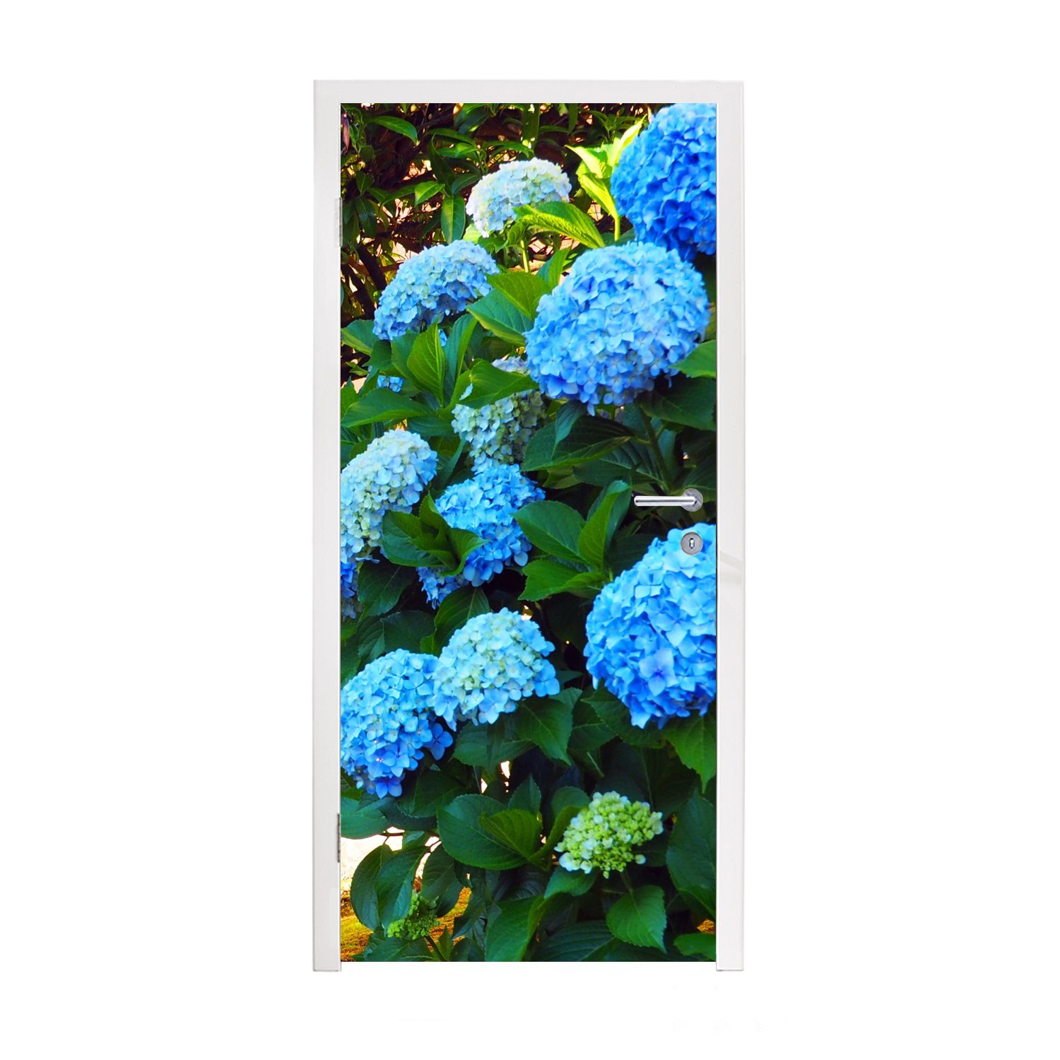 MuchoWow Türtapete Blaue Hortensien, Matt, bedruckt, (1 St), Fototapete für Tür, Türaufkleber, 75x205 cm