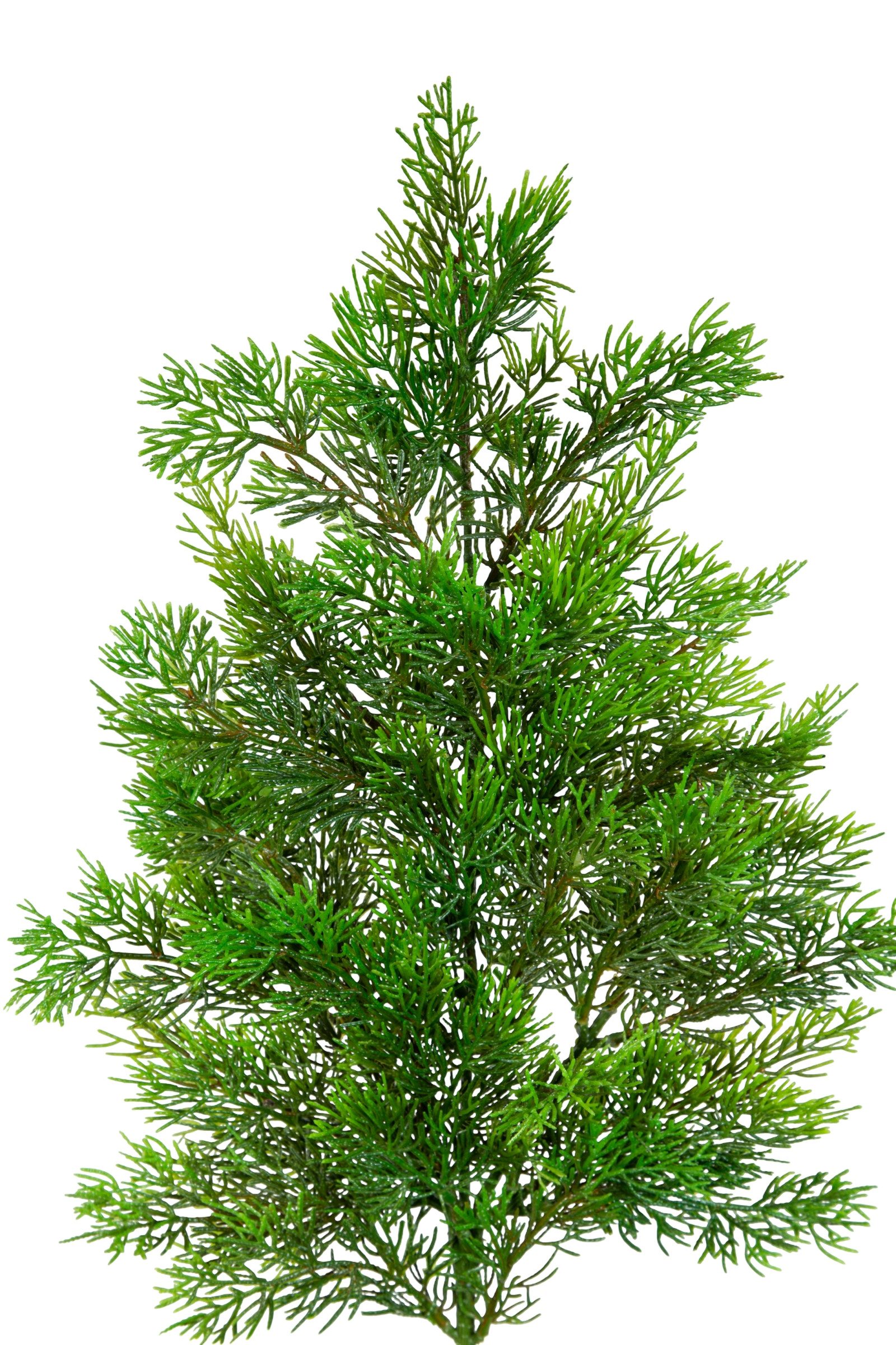 Kunstzweig Zedernzweig Nature ZJ Kunststoff 100% PE Spritzguss künstliche Zeder, Seidenblumen Roß, Länge: ca. 65cm
