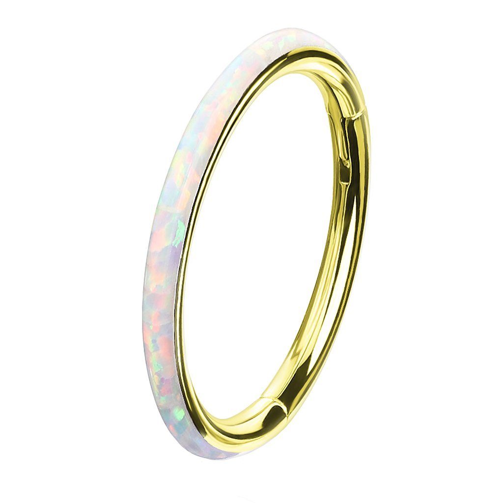 Taffstyle Nasenpiercing Septum Piercing Segmentring Scharnier Clicker mit O günstig online kaufen