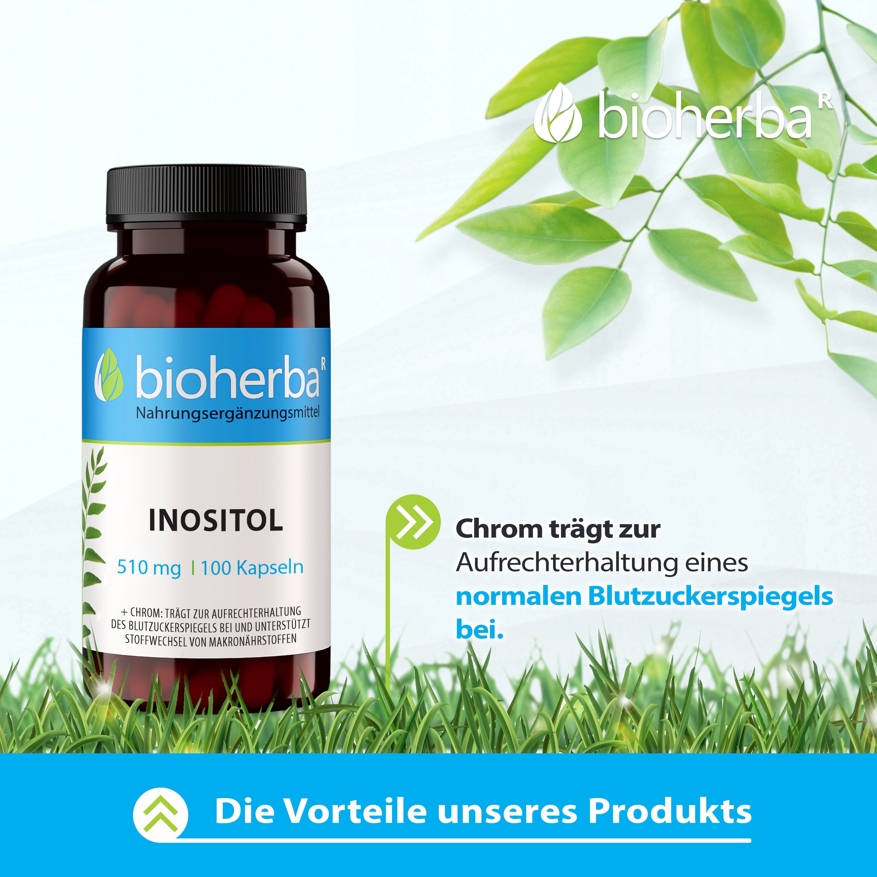 BIOHERBA R Bioherba Inositol 510 mg 100 Kapseln Nahrungsergänzungsmittel, 1 er