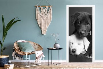 MuchoWow Türtapete Hunde - Welpe - Schwarz - Weiß - Tiere, Matt, bedruckt, (1 St), Fototapete für Tür, Türaufkleber, 75x205 cm