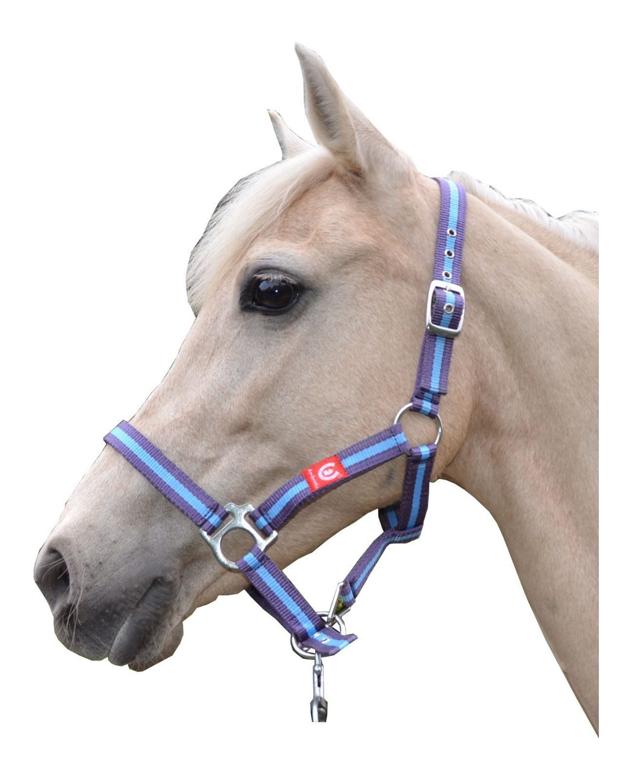 BURI Halfter Ambrotii Halfter Nylonhalfter Pferdehalfter verstellbar mit Schnallen.