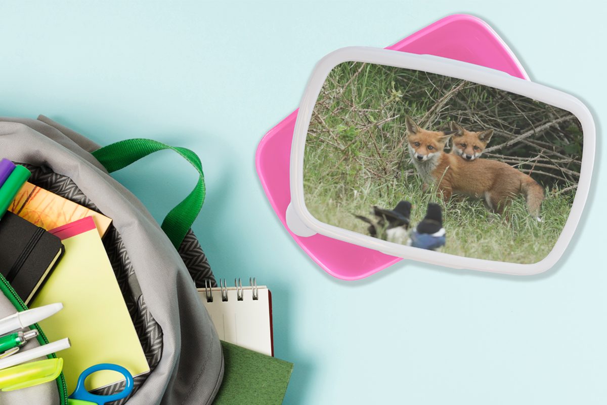 MuchoWow Lunchbox Tiere (2-tlg), Brotbox - Erwachsene, - Brotdose Snackbox, Füchse, Vogel rosa für Kunststoff Kunststoff, Kinder, Mädchen