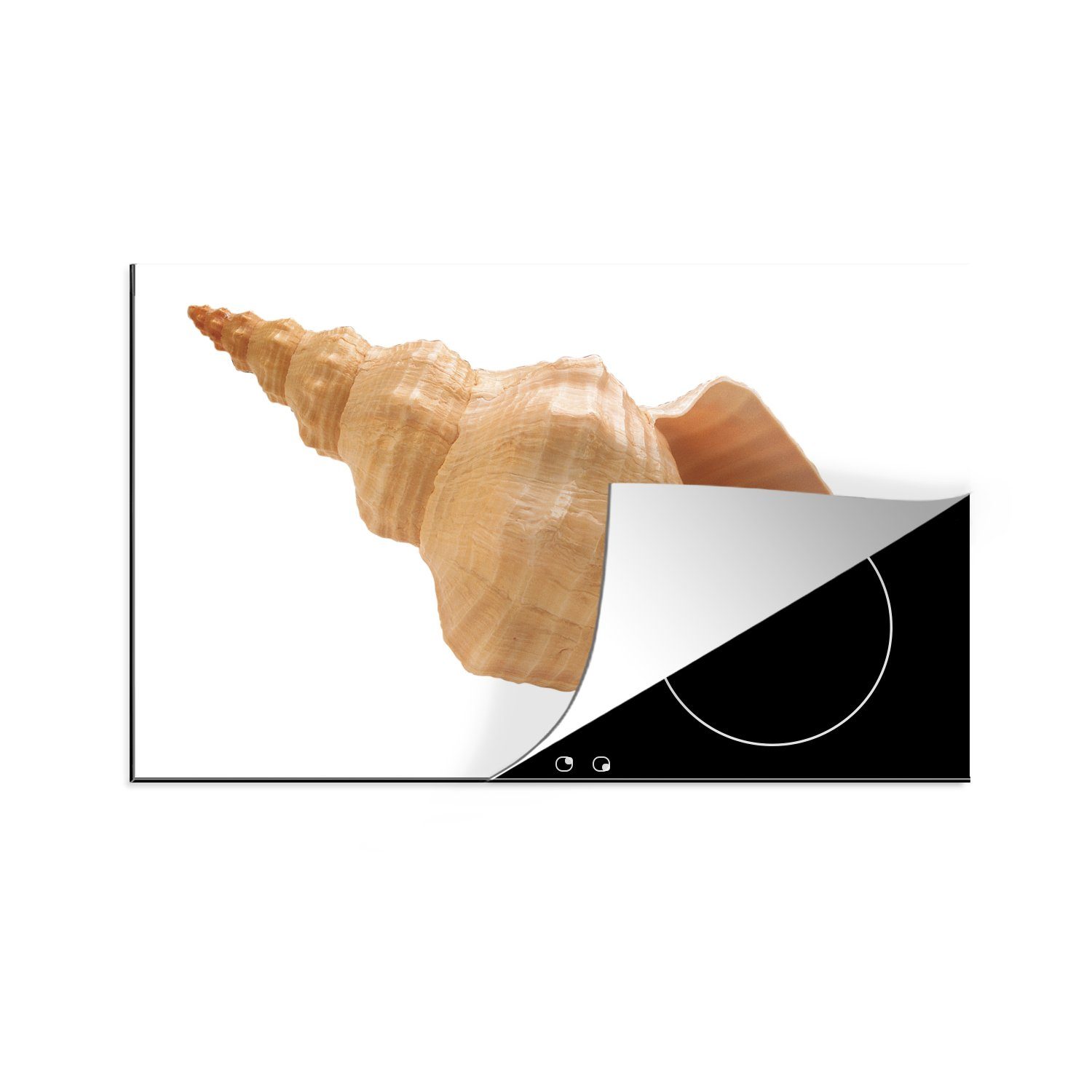 cm, - - Ceranfeldabdeckung Weiß, Herdblende-/Abdeckplatte Beige für Induktionskochfeld Vinyl, küche, tlg), (1 81x52 die Muschel Schutz MuchoWow