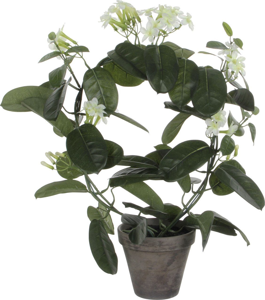 Kunstpflanze Mica Decorations Stephanotis in Topf polyester 50, Mica Decorations