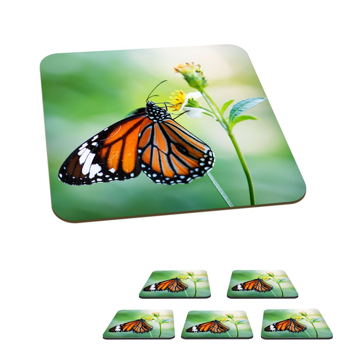 MuchoWow Glasuntersetzer Schmetterling - Blumen - Insekten, Zubehör für Gläser, 6-tlg., Glasuntersetzer, Tischuntersetzer, Korkuntersetzer, Untersetzer, Tasse