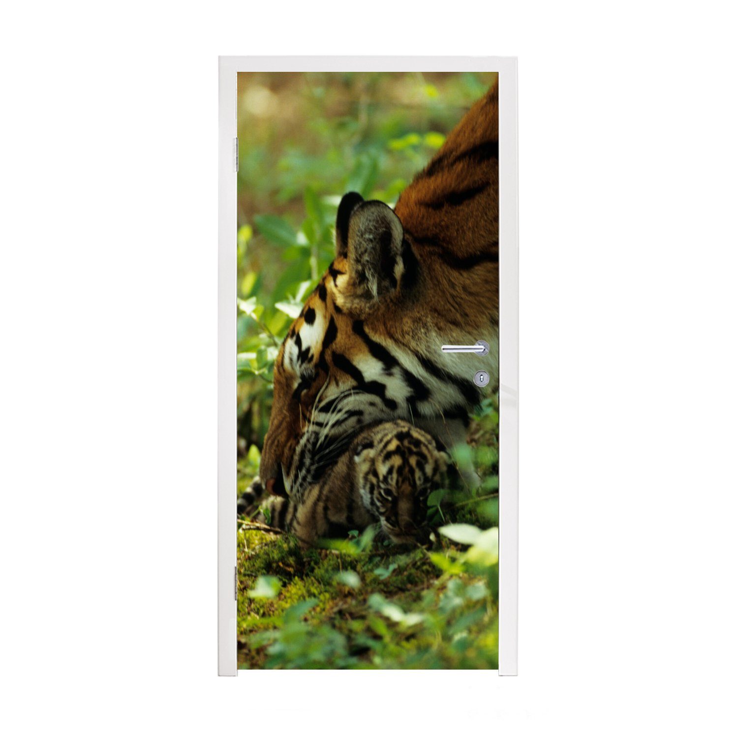 MuchoWow Türtapete Tiger - Pflanzen - Jungtier, Matt, bedruckt, (1 St), Fototapete für Tür, Türaufkleber, 75x205 cm