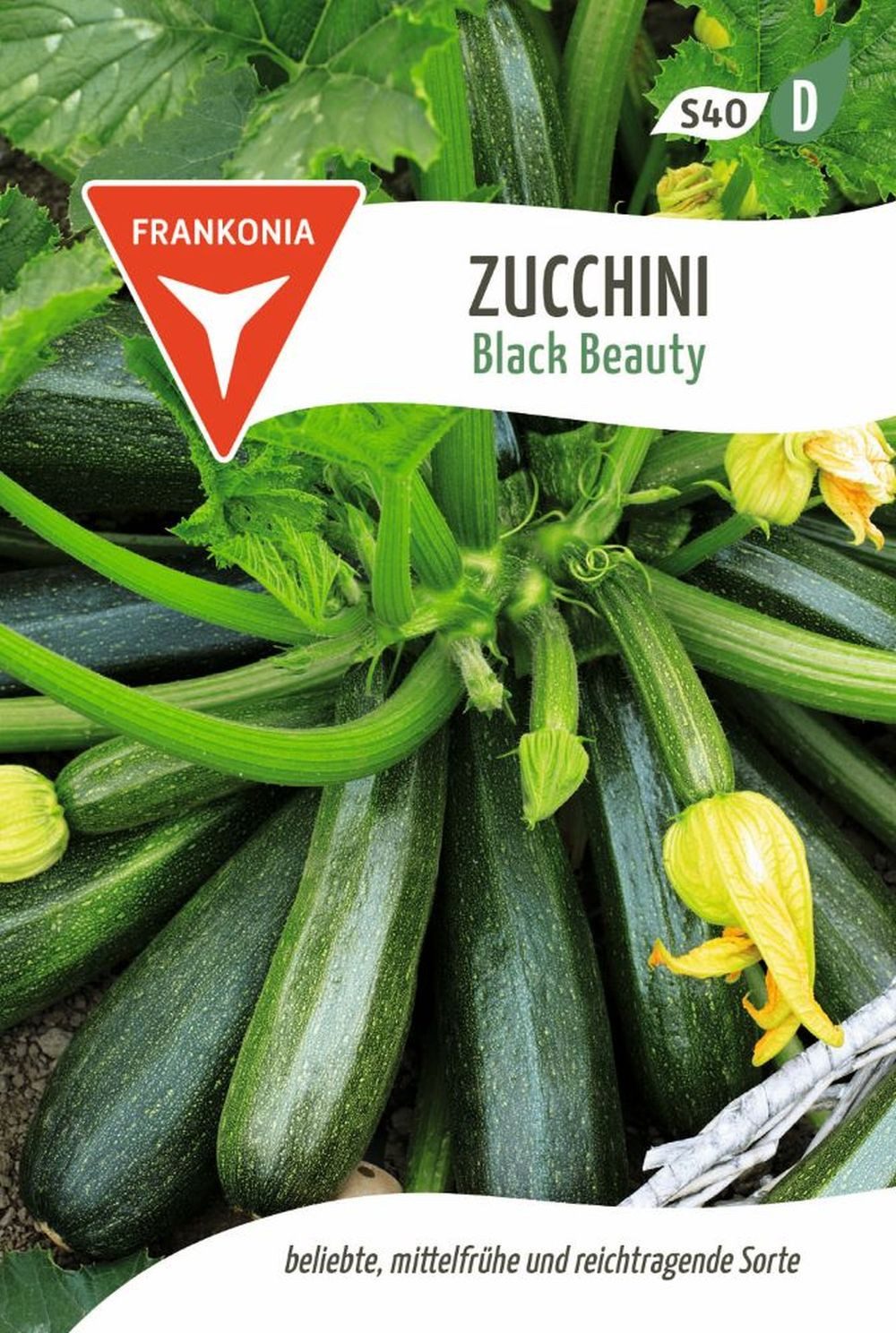 FRANKONIA Gemüsesamen Zucchini, Black Beauty - Saatgut Zucchini-Samen Samen günstig online kaufen