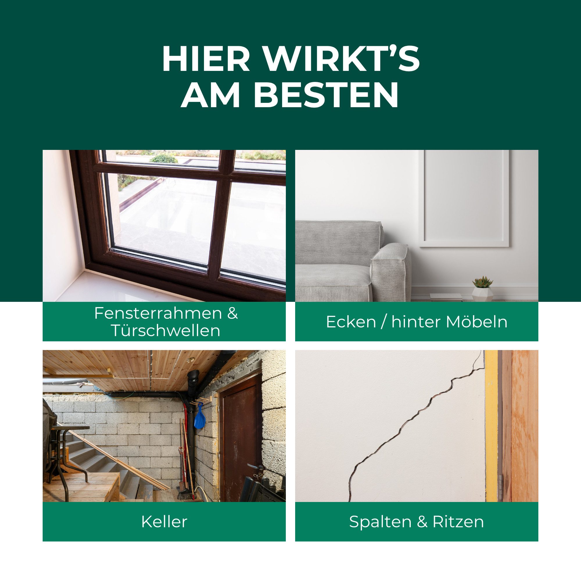 Silberkraft Insektenspray Spinnenspray 500 ml inkl. Gratis E-Book Gebrauchsfertiges Spray, Gezielt auf Ecken, Ritzen, Spalten oder hinter Möbeln sprühen, 1-St., – Bild 3 von 5