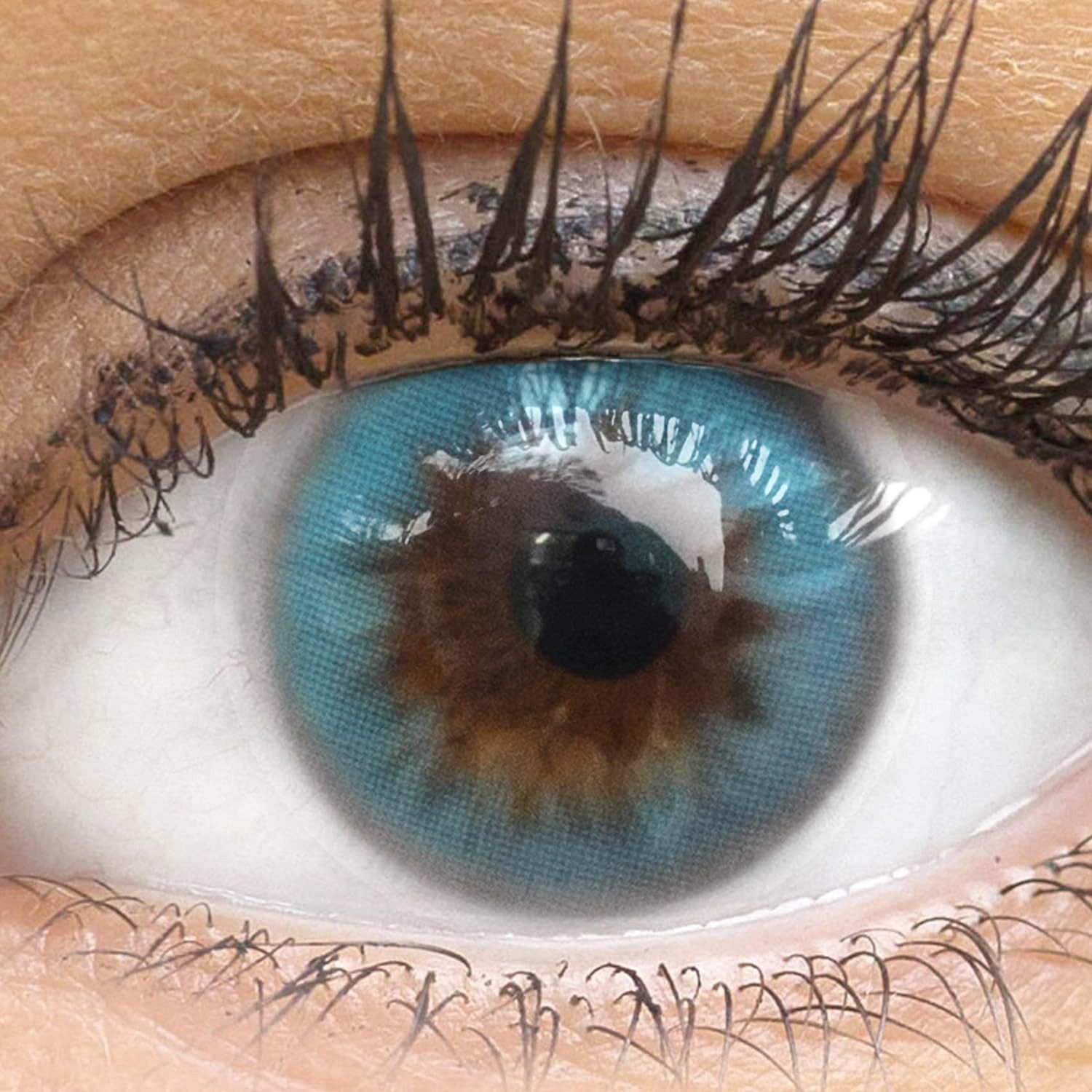 GLAMLENS Monatslinsen Sehr stark deckende und blaue grüne Linsen "Sorento Blue"