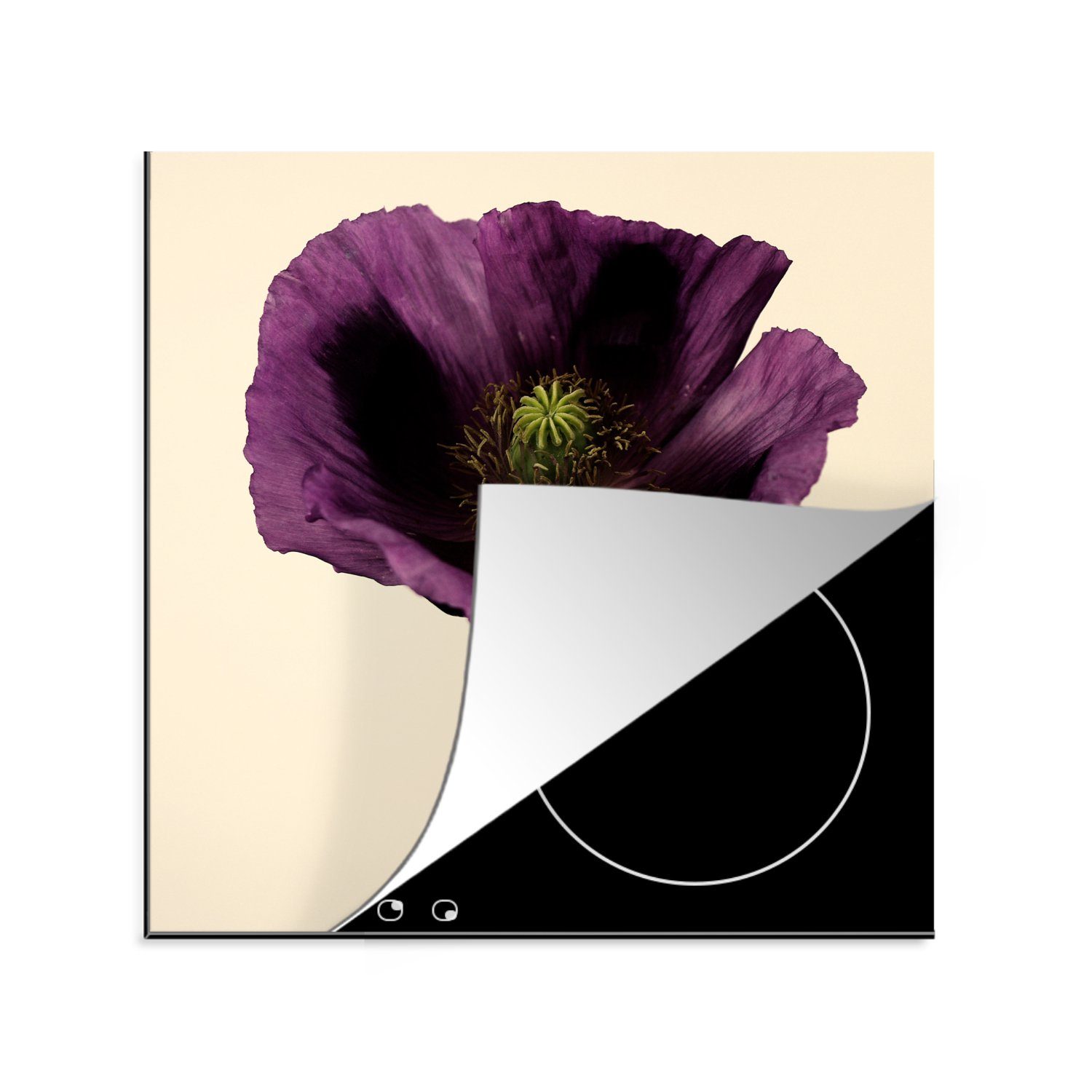 MuchoWow Herdblende-/Abdeckplatte Nahaufnahme eines violetten Mohns, Vinyl, (1 tlg), 78x78 cm, Ceranfeldabdeckung, Arbeitsplatte für küche