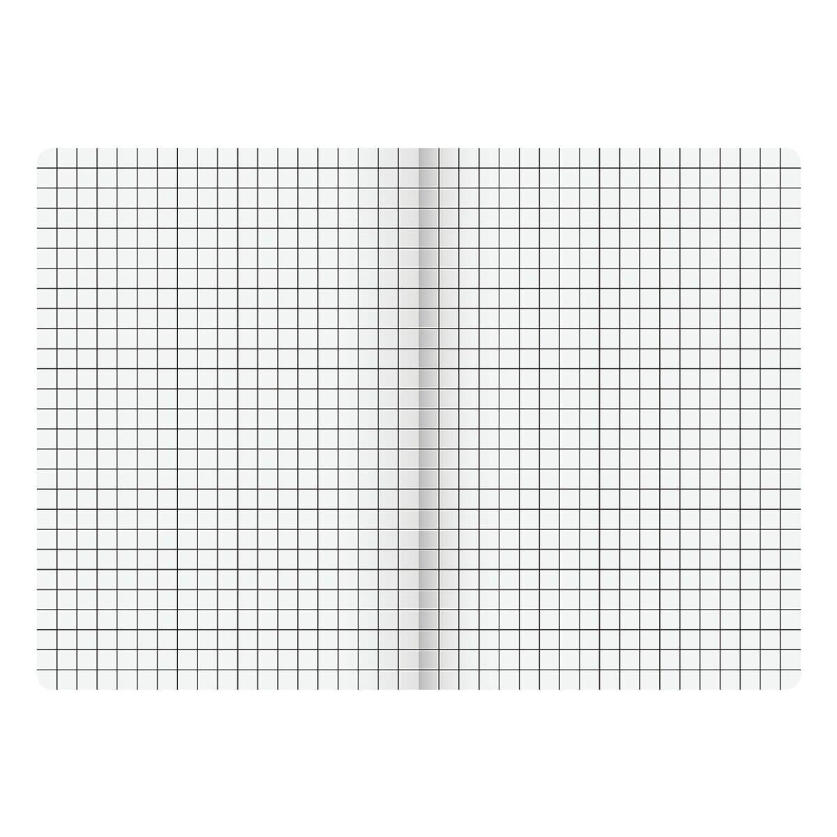 BRUNNEN Schulheft Vivendi, A5, kariert (Lineatur 5), 16 Blatt, ungelocht