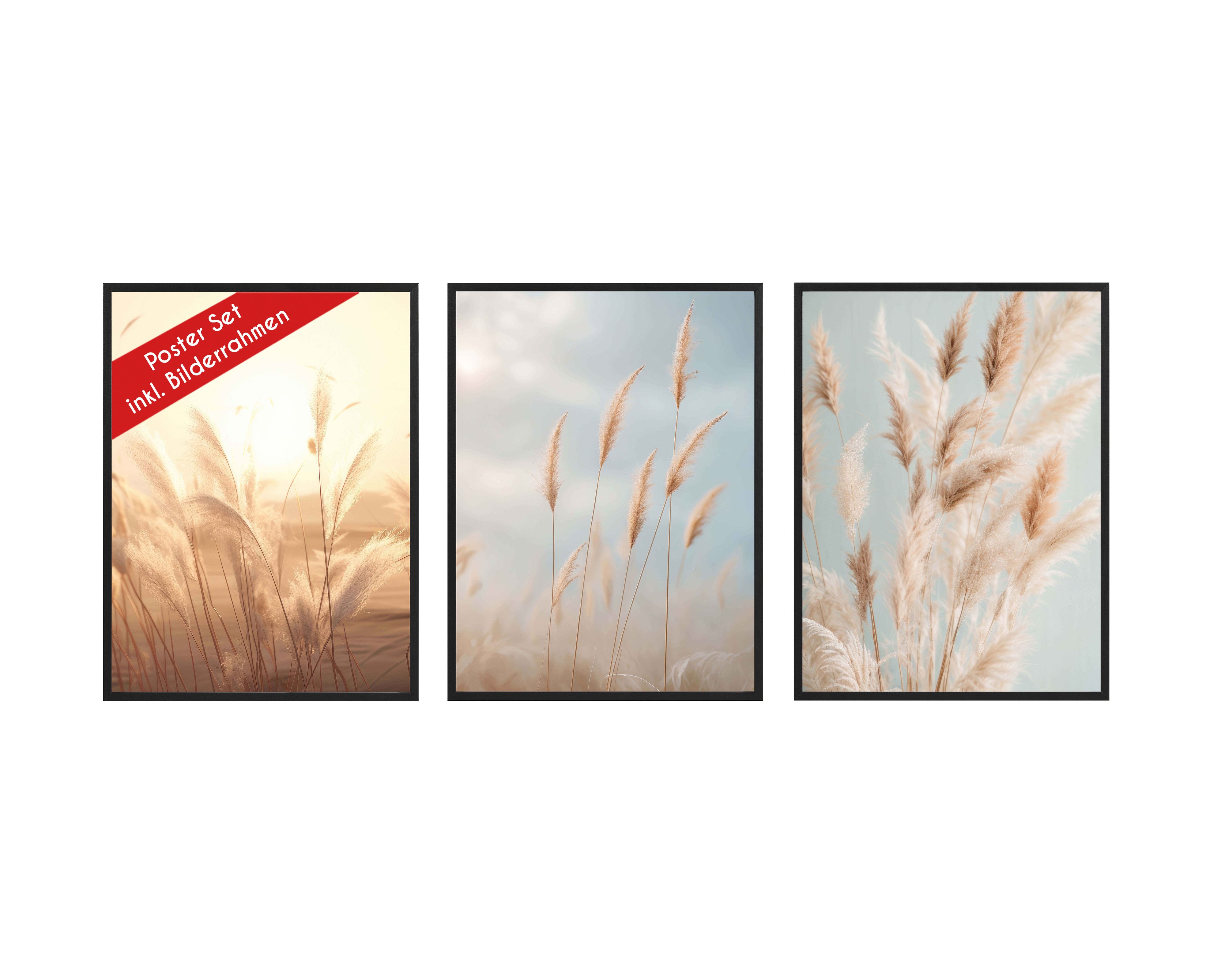 Wackadoo Living Poster Set inklusive Bilderrahmen, Pampasgras (3er Set aus italienischem Holz), Bildformat 30 x 40 cm