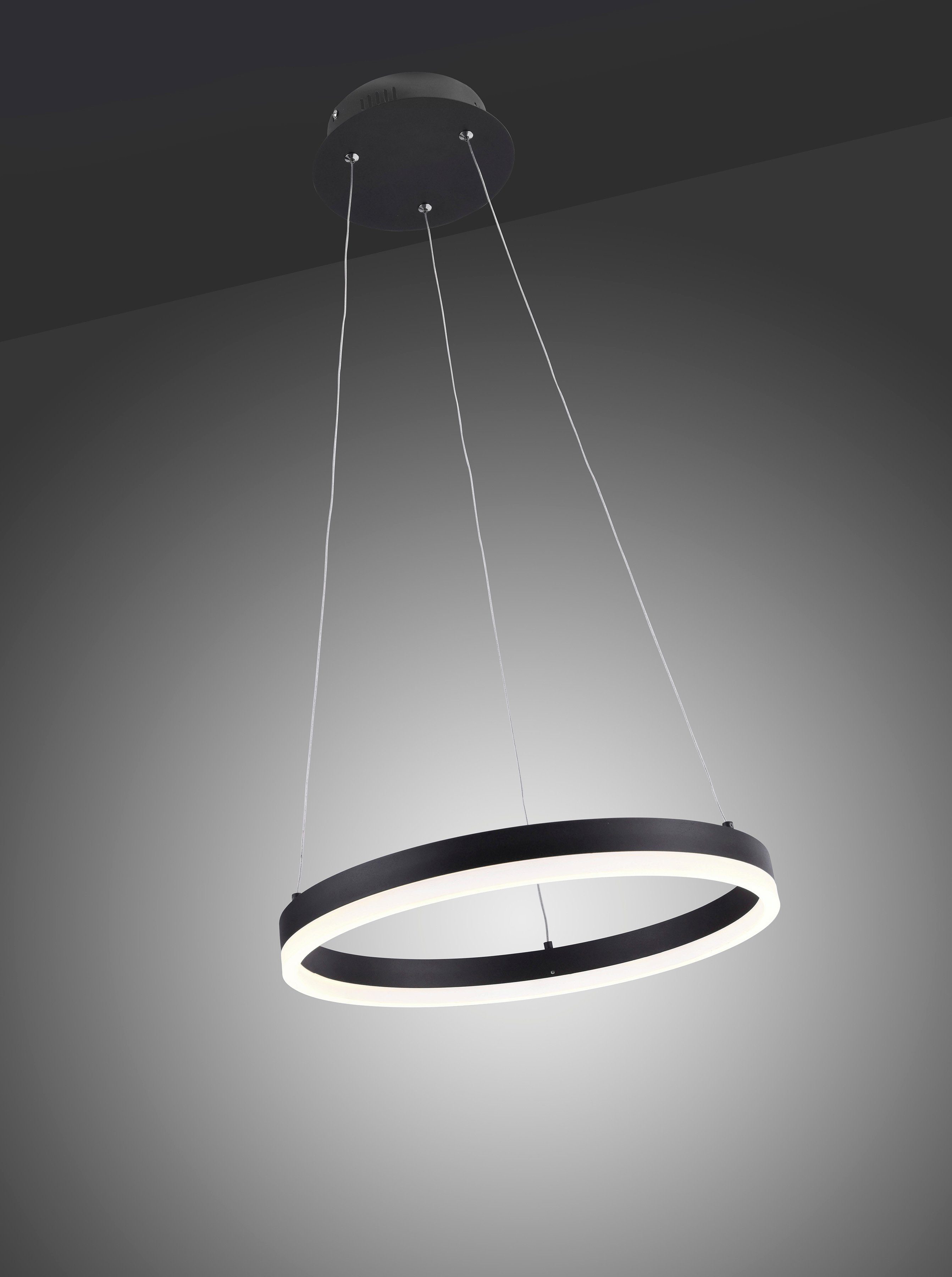 LED vorhandenen TITUS, Pendelleuchte Dimmfunktion, fest Stufenlos über Wandschalter Warmweiß, Paul Memoryfunktion, Neuhaus LED Hängeleuchte, integriert, dimmbar