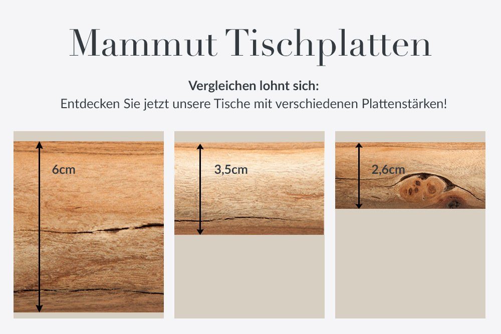 NATURE riess-ambiente · / (Einzelartikel, Metall 6cm Massivholz · lackiert Baumkantentisch 240cm Akazie X-Gestell Platte Personen 1-St), bis · honigfarben 10 · · MAMMUT (natur) dunkelgrau ·