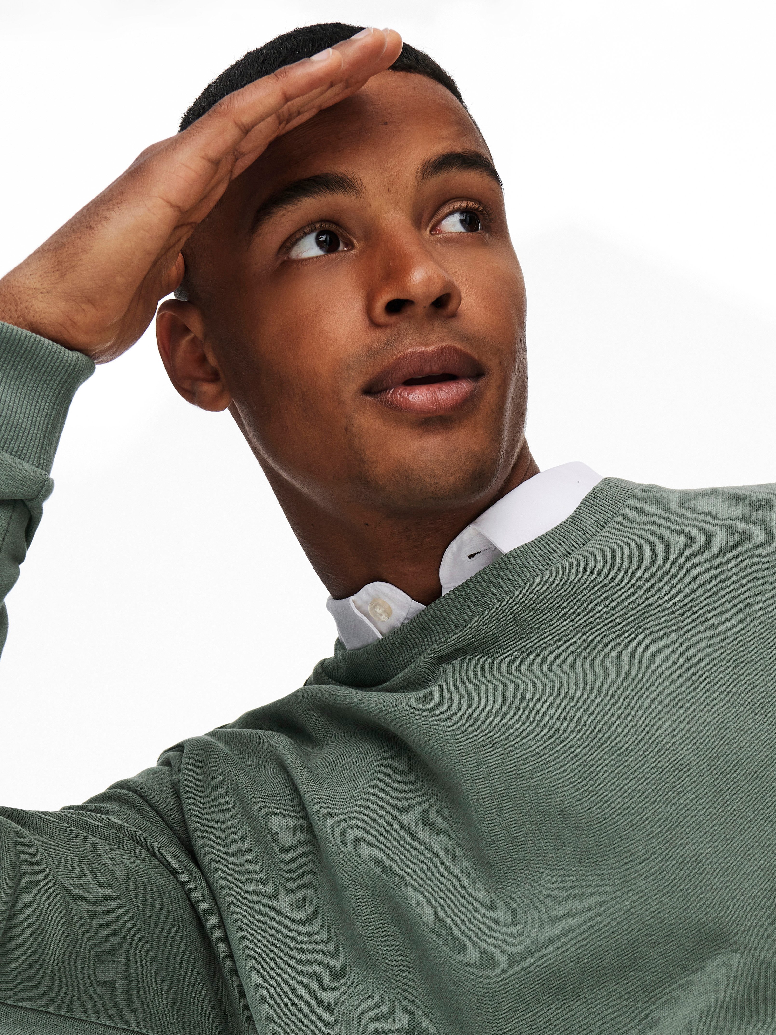 Castor Gray 22018683