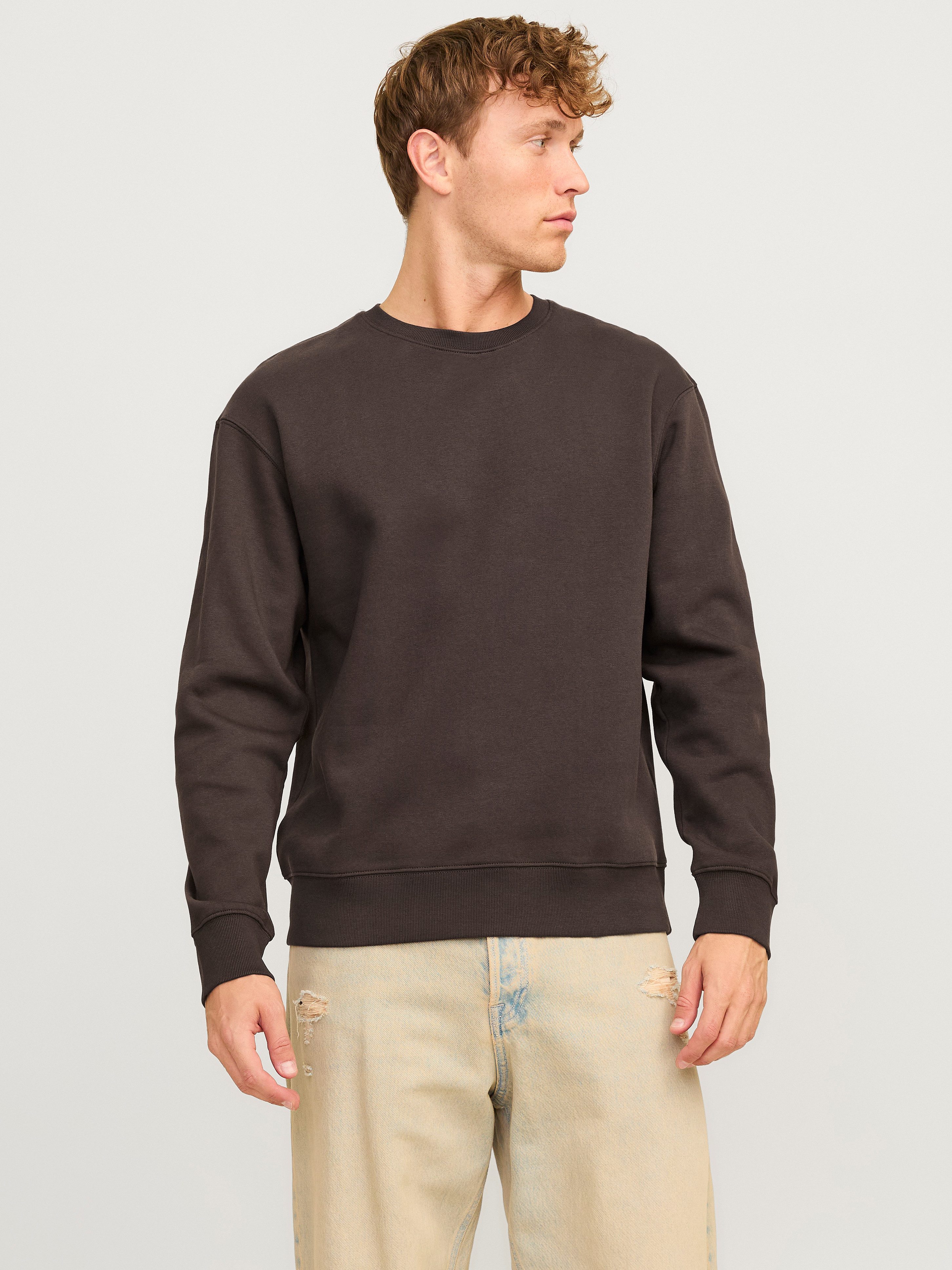 Jack & Jones Sweatshirt JJESTAR BASIC günstig online kaufen