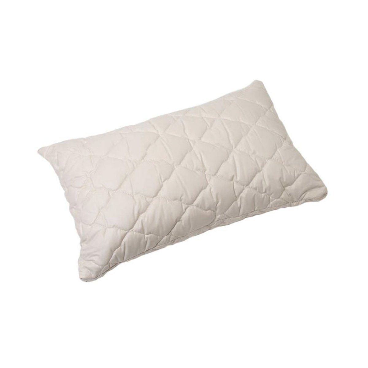 ÖKO Planet Baumwollkissen, Füllung: 100% Baumwolle (Bio), Bezug: Baumwolle günstig online kaufen