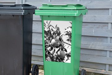 MuchoWow Wandsticker Orangen auf einem Baum mit Orangenblüte - schwarz und weiß (1 St), Mülleimer-aufkleber, Mülltonne, Sticker, Container, Abfalbehälter